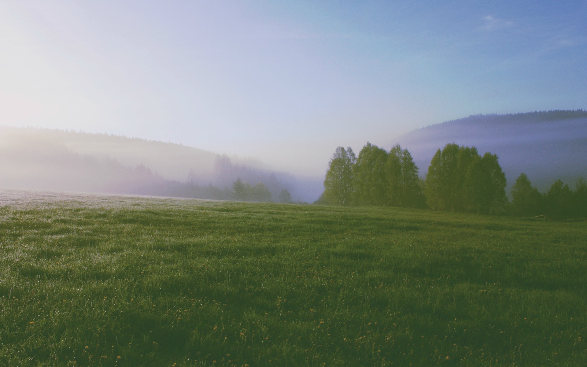 Бесплатное фото Утренняя дымка над полем
