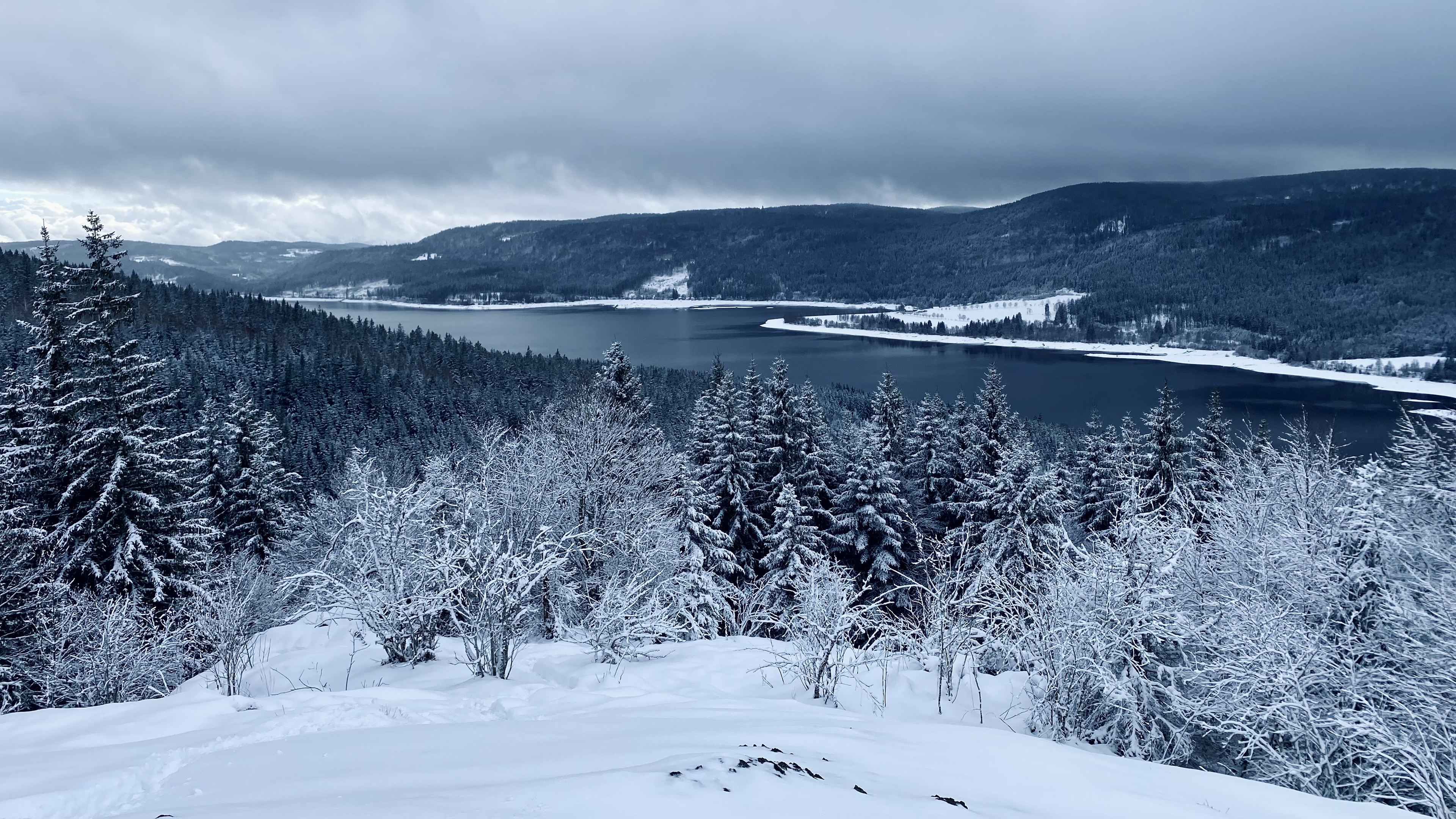 Free photo Descending a snowy slope to the river with trees