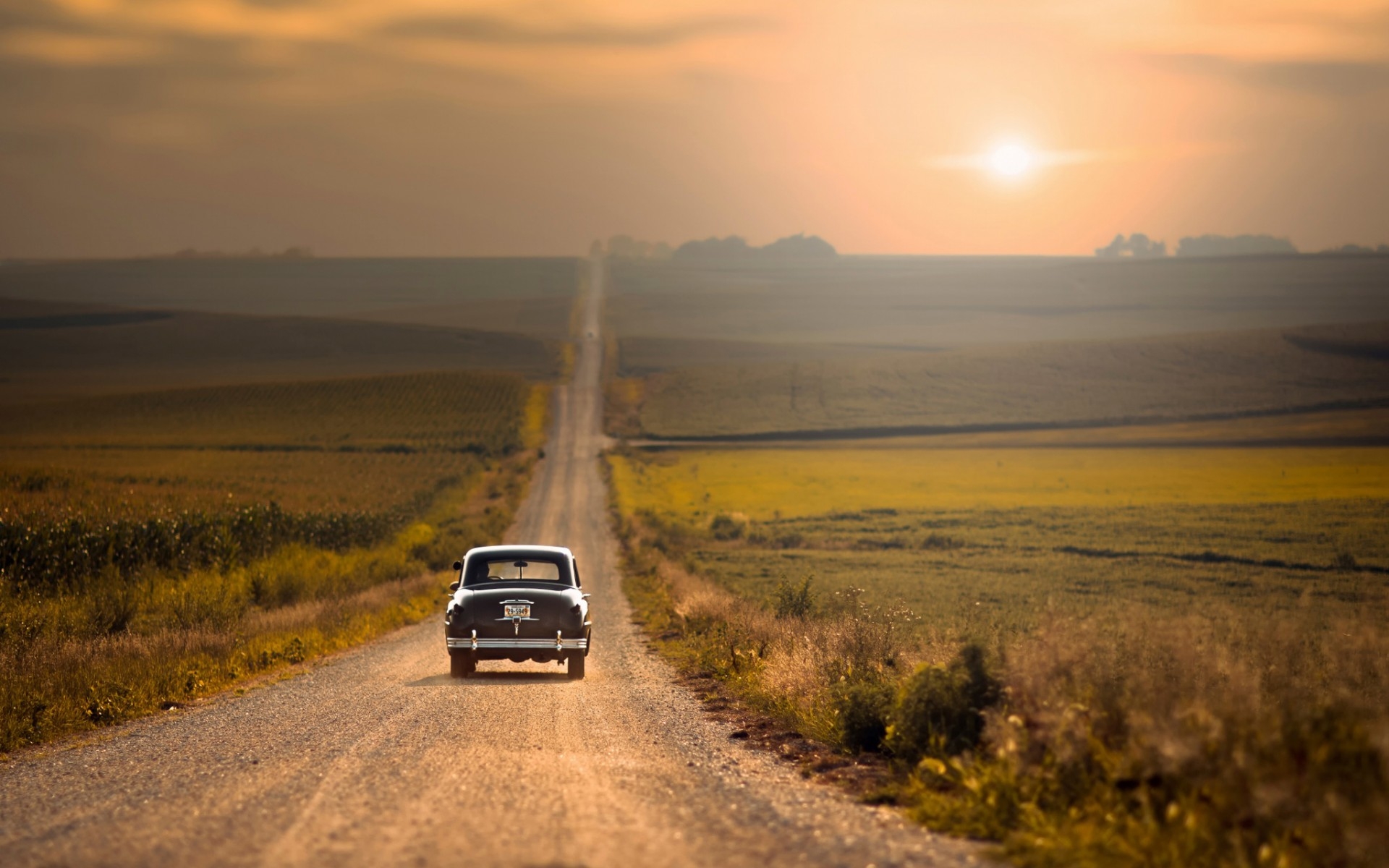 Wallpapers a long road field sun light on the desktop