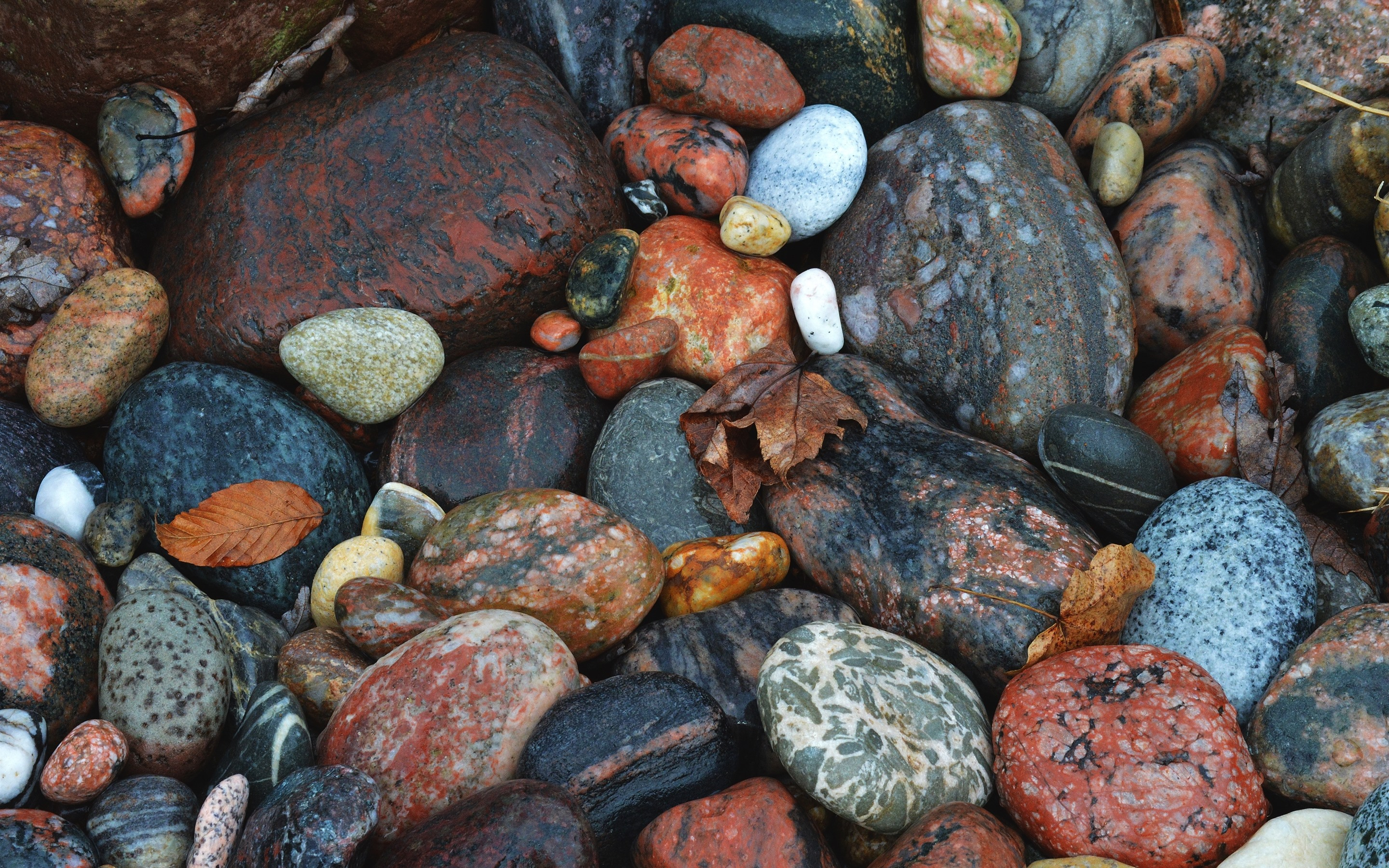 Multicolored patterned pebbles on the banks of rivers