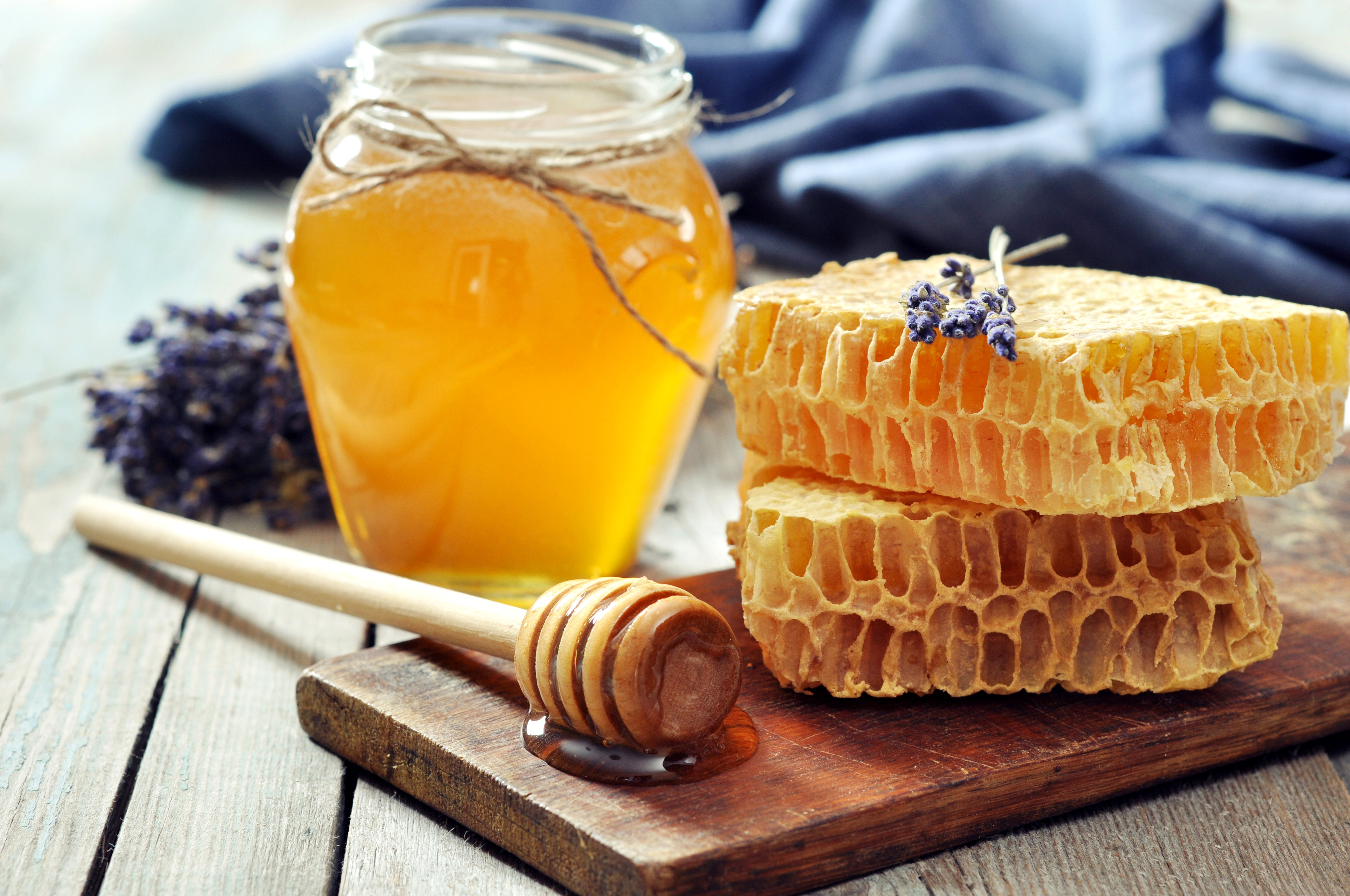 蜂蜜从蜜蜂的蜂窝