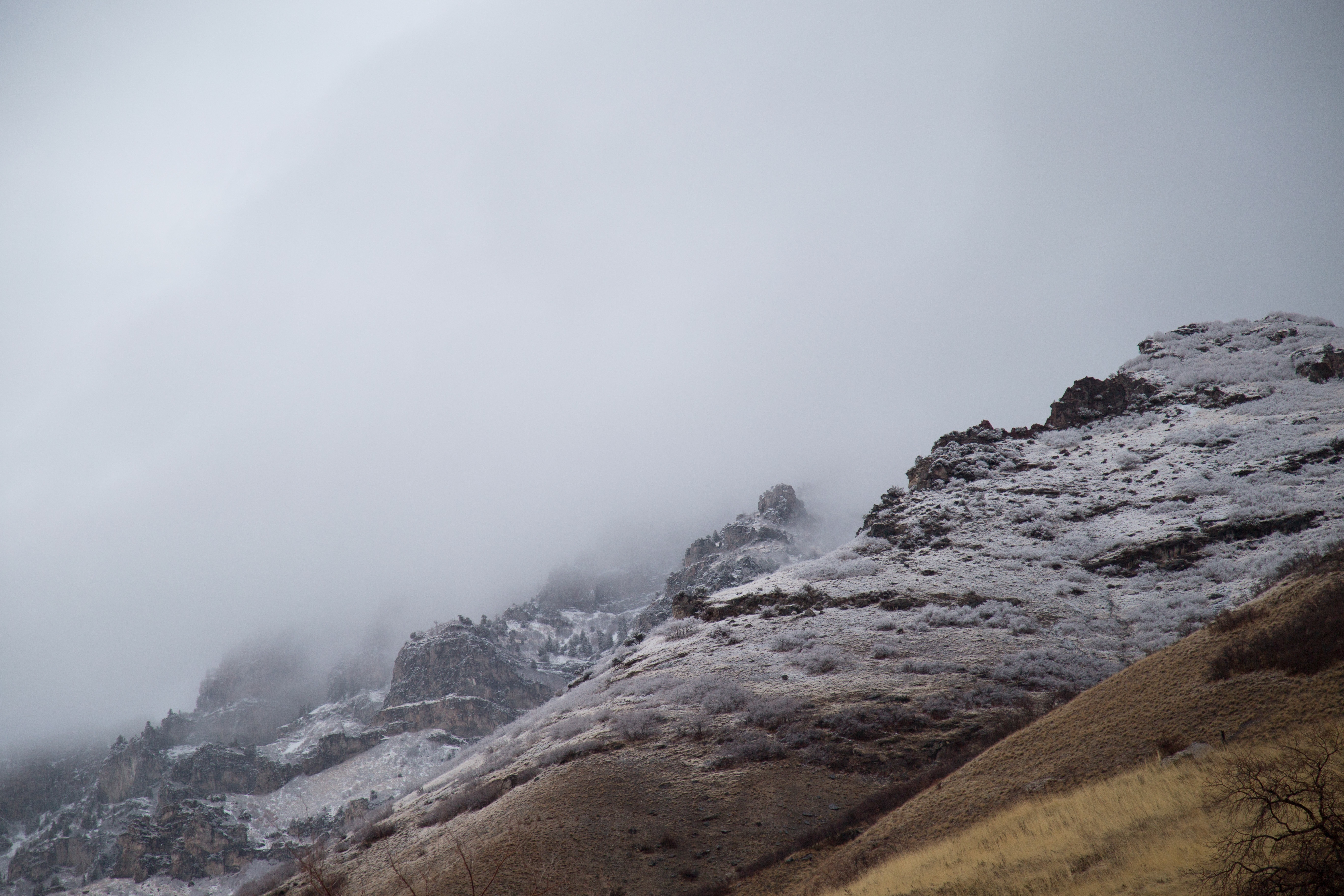 Free photo Fog and cold at altitude in the mountains