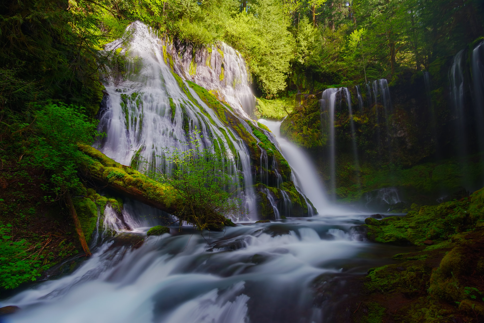 Free photo Waterfall and fallen tree