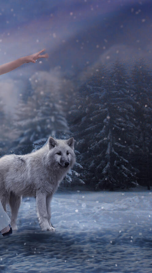 Обои девушка и волк зима снег на рабочий стол