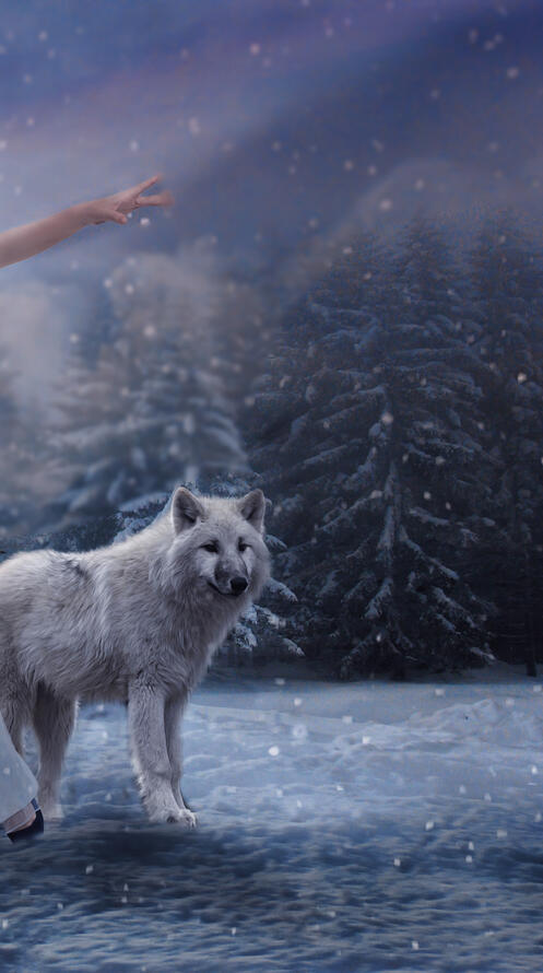 Обои девушка и волк зима снег на рабочий стол