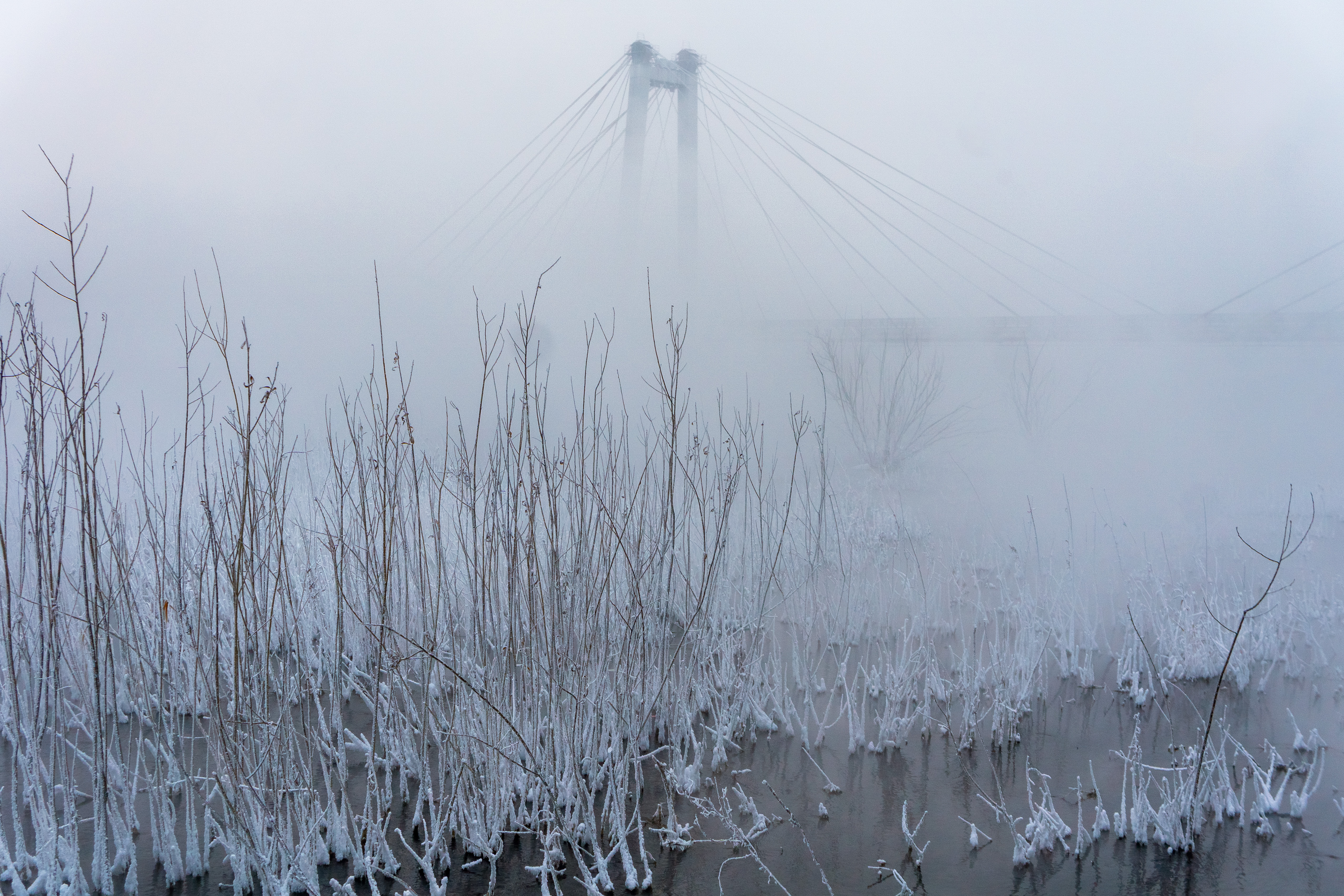 Мост за туманом в мороз