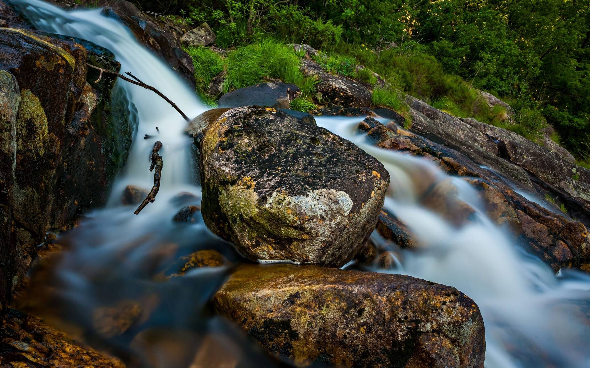 Wallpapers stream shrub stones on the desktop