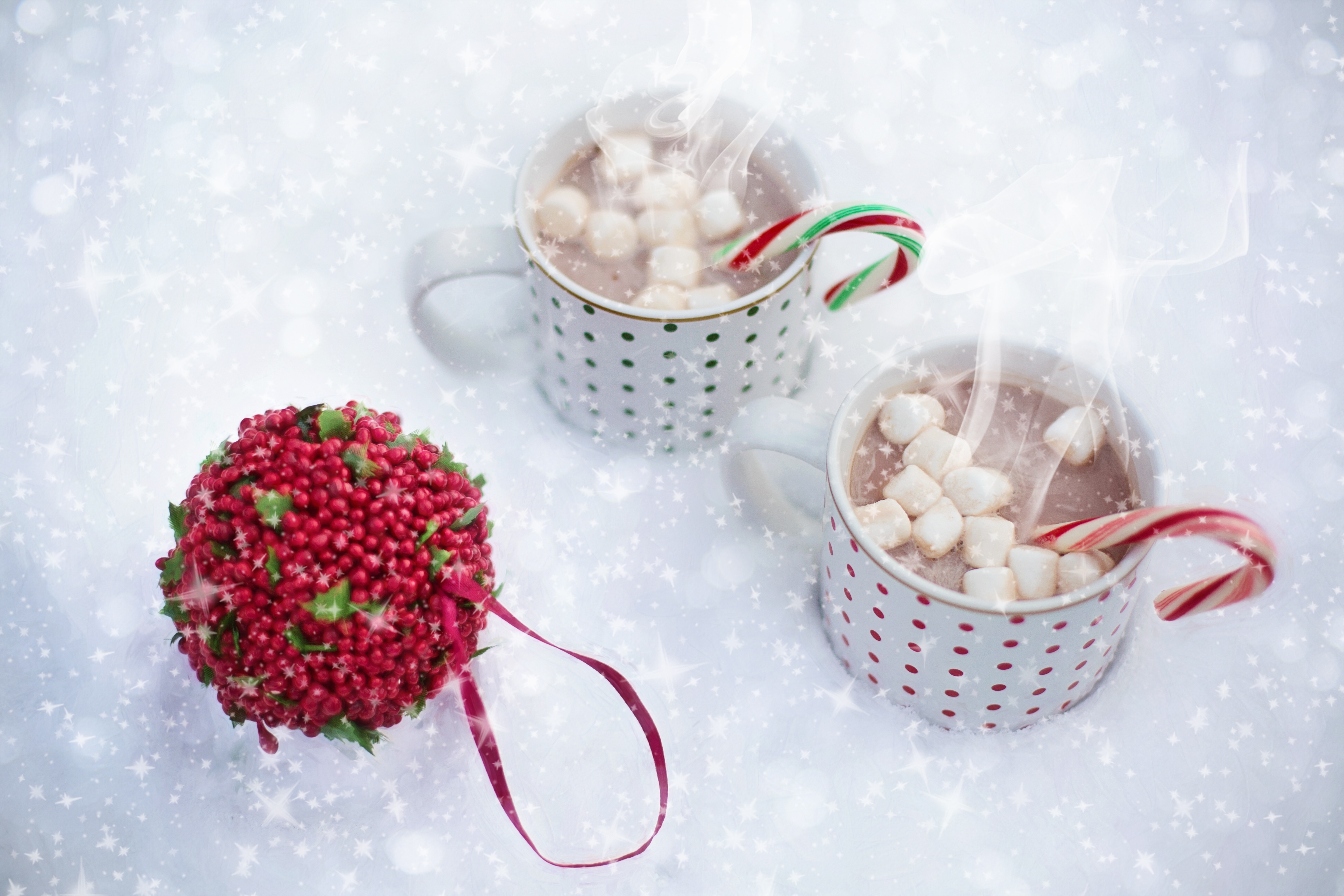 桌面上的壁纸雪 冬季 花