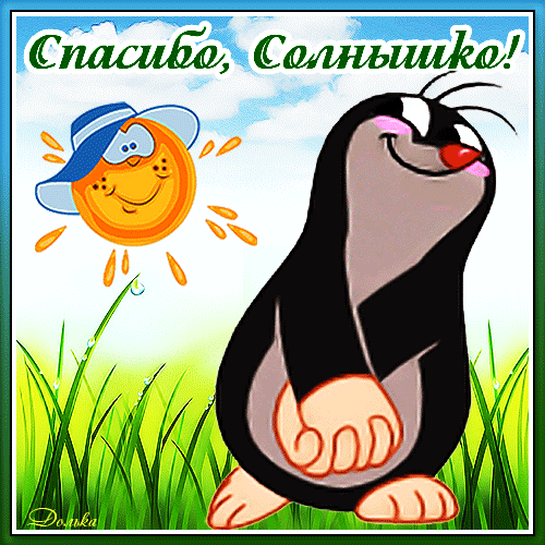 Открытка на тему благодарю спасибо солнышко спасибо скачать бесплатно