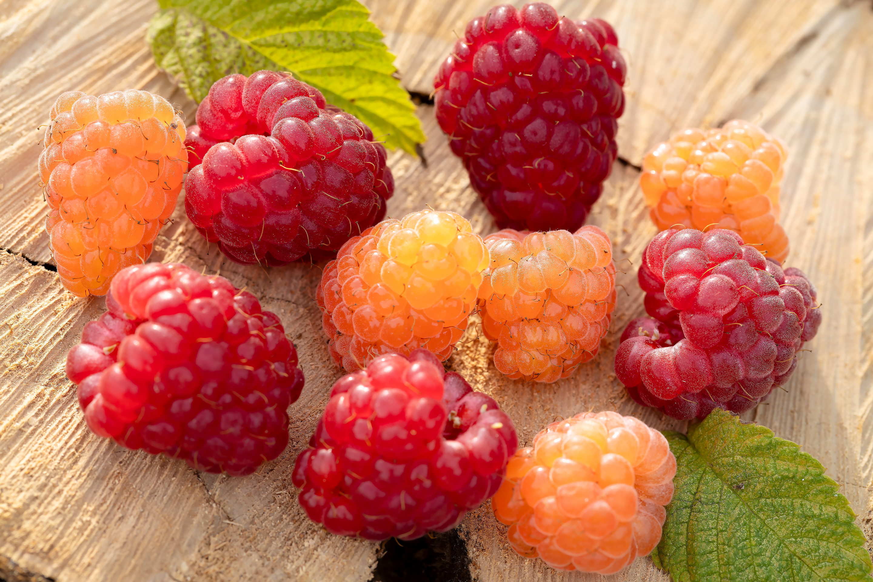 Бесплатное фото Жёлтая и красная малина на деревянном фоне