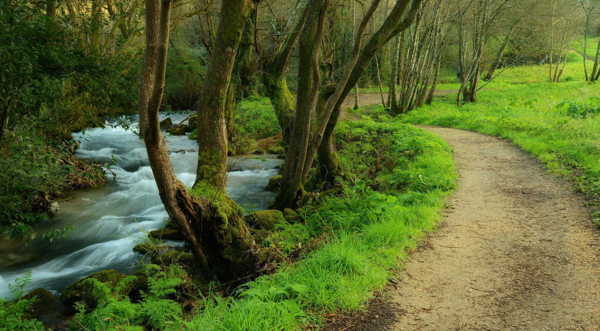 Wallpapers landscape Salnes Galicia on the desktop