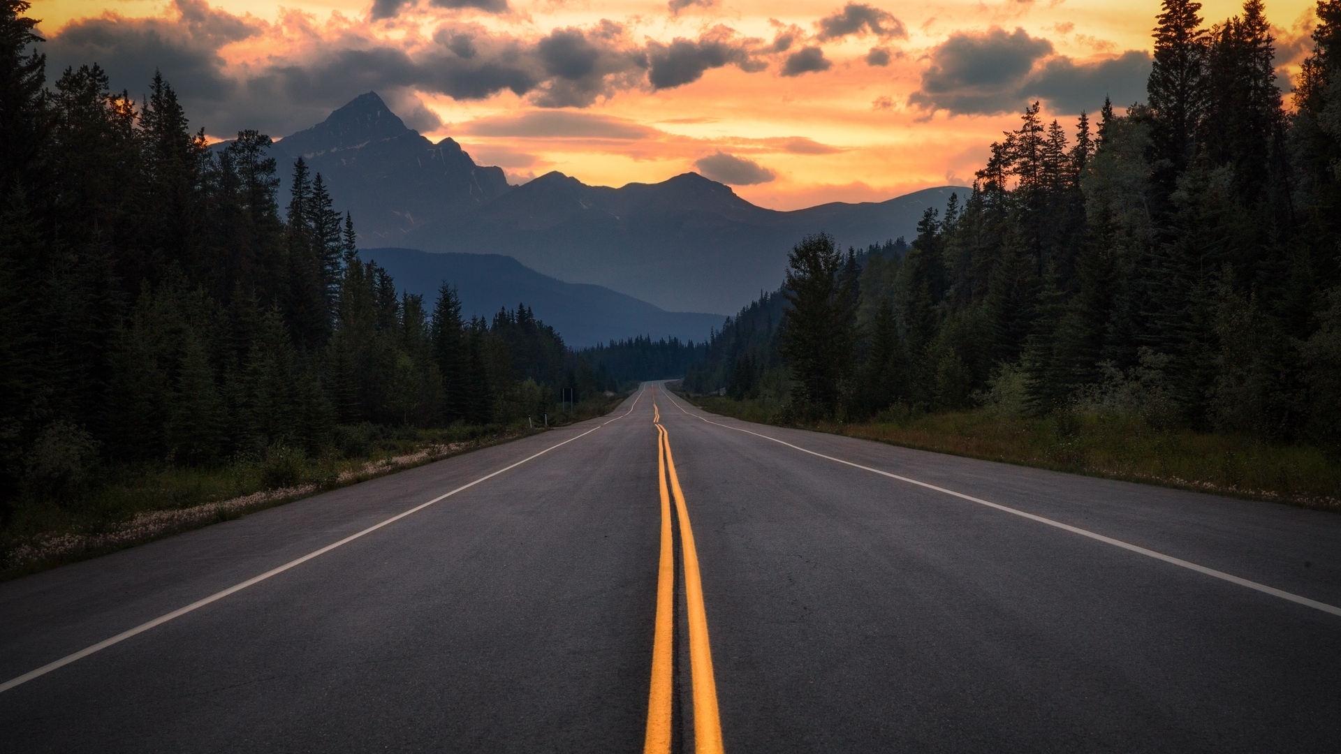 Wallpapers canada alberta road sunset on the desktop