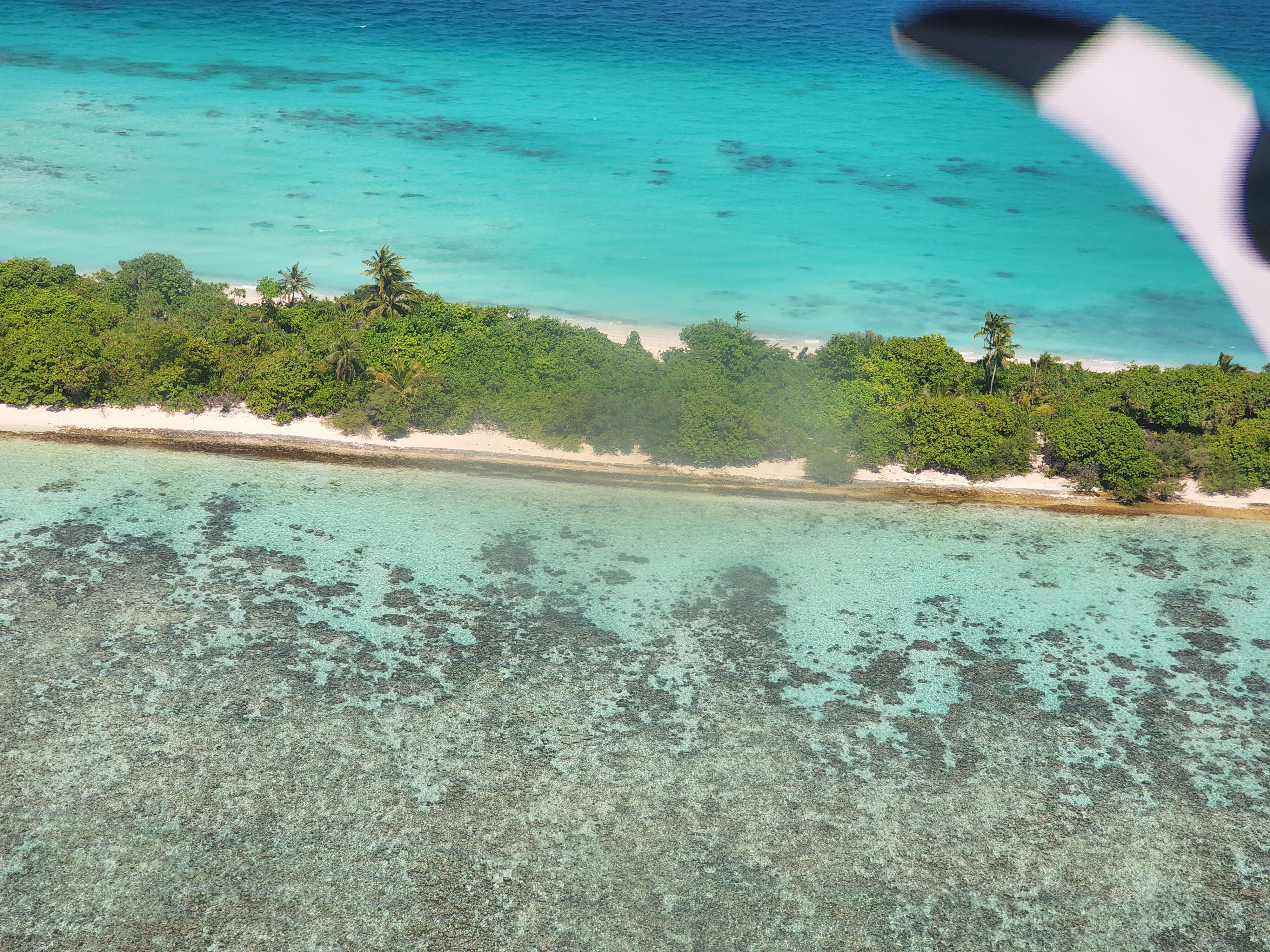 Exotic Maldives