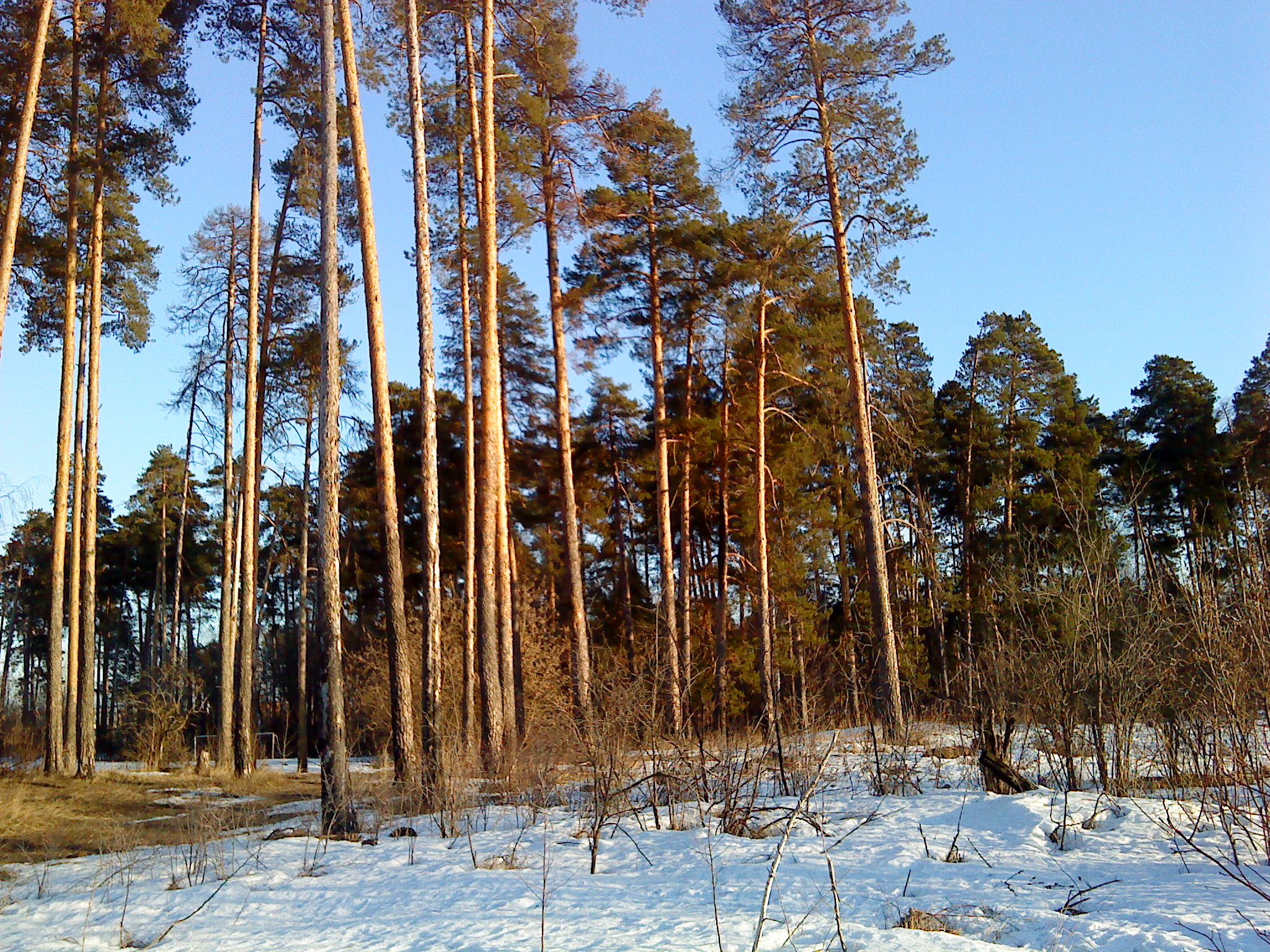 Бесплатное фото Мартовское утро
