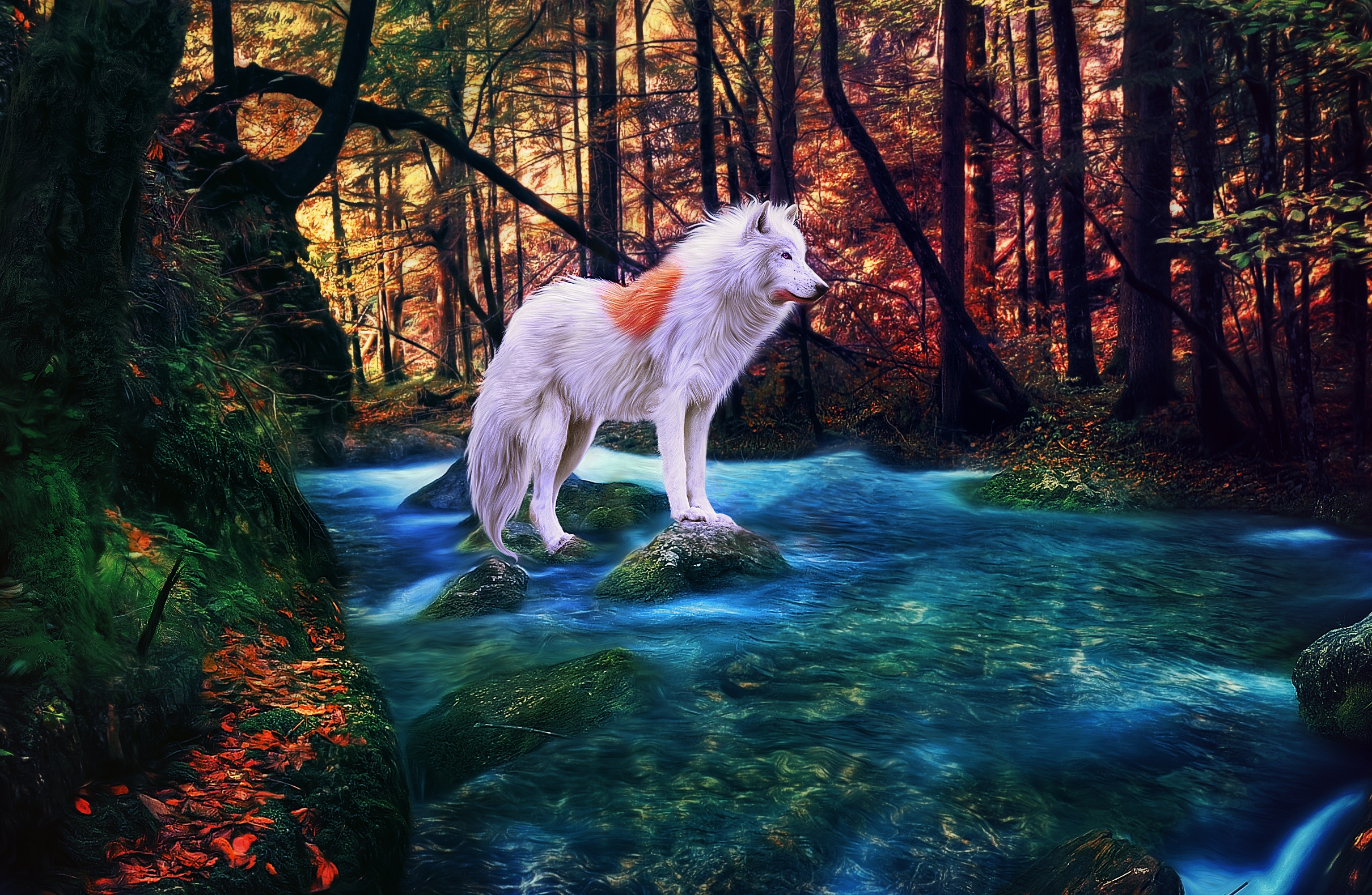 Wallpapers trees white wolf art on the desktop
