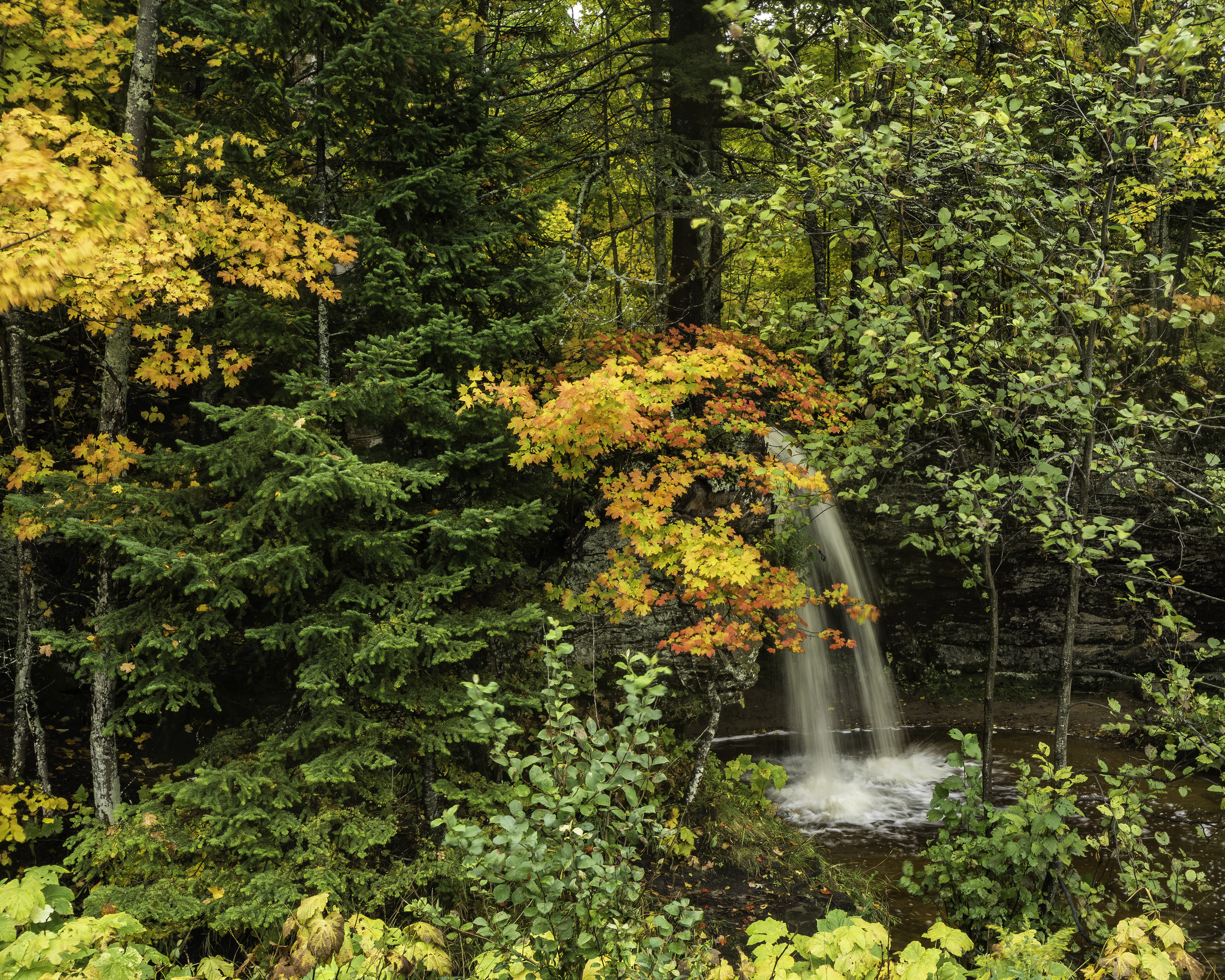 秋天森林中的小瀑布