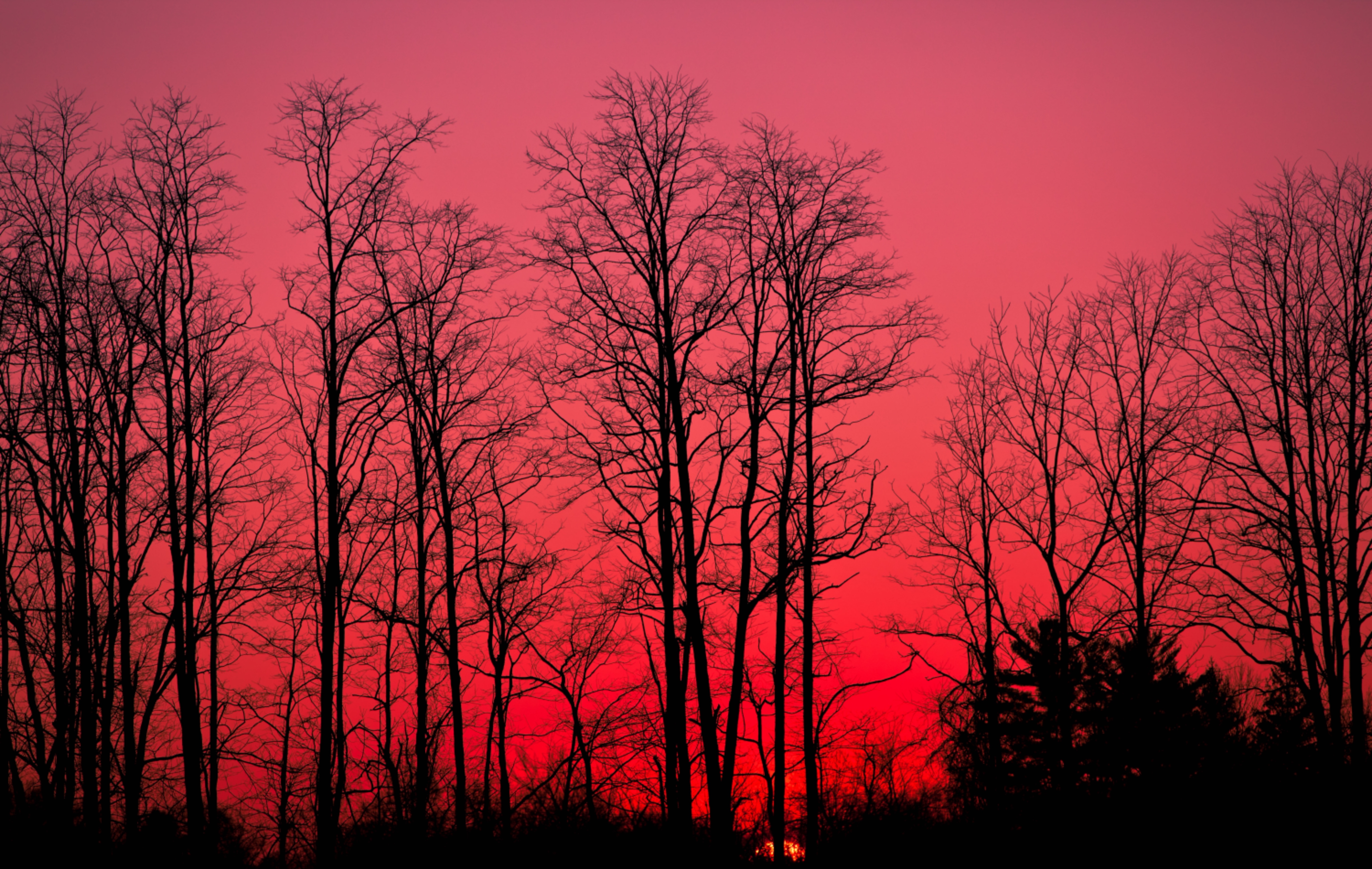 日落时分的红色天空