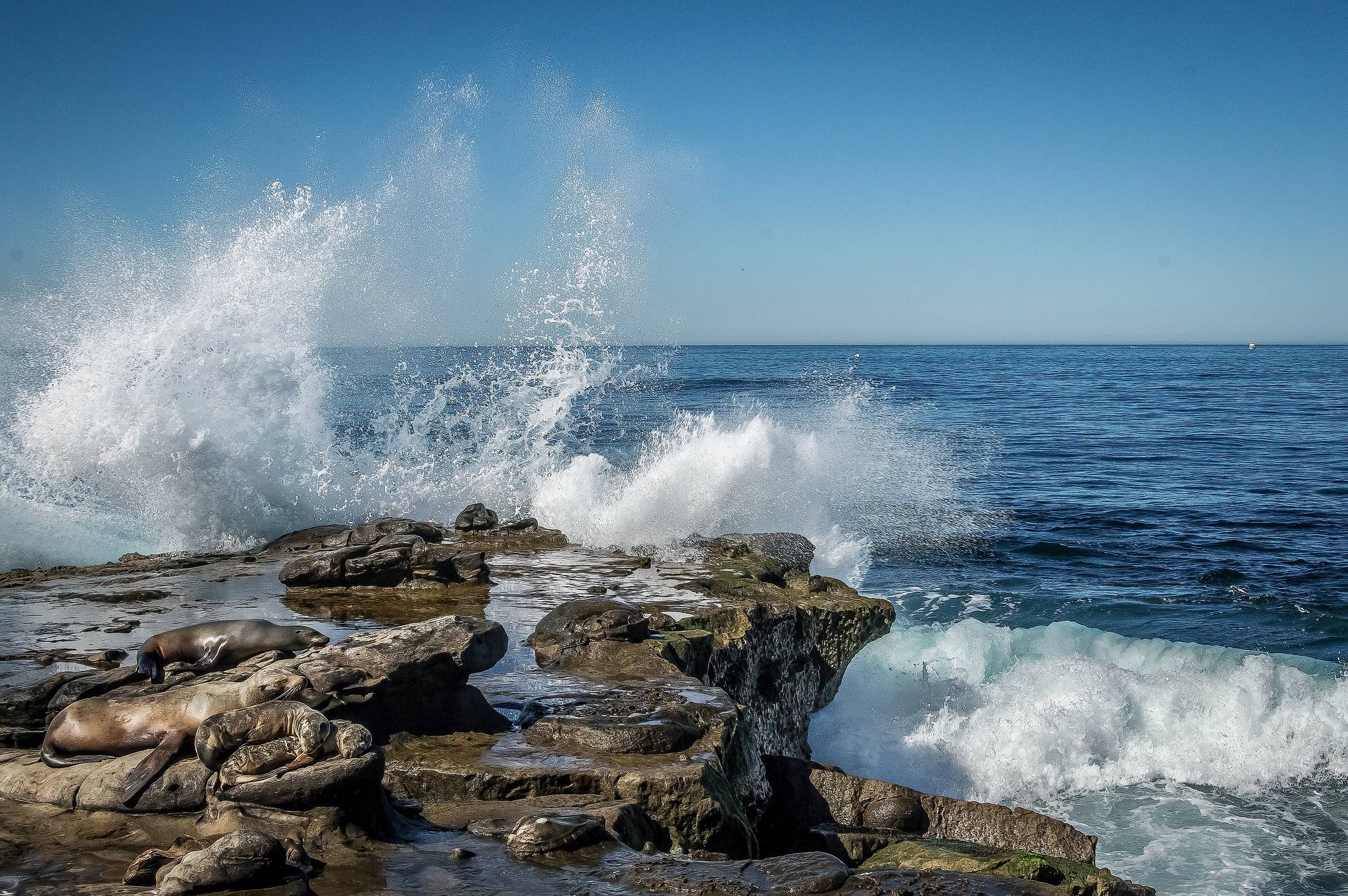 Обои La Jolla California море на рабочий стол