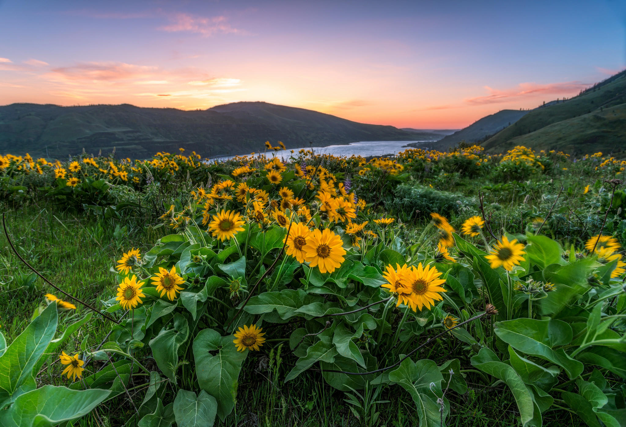 Wallpapers Columbia River Gorge river shore on the desktop