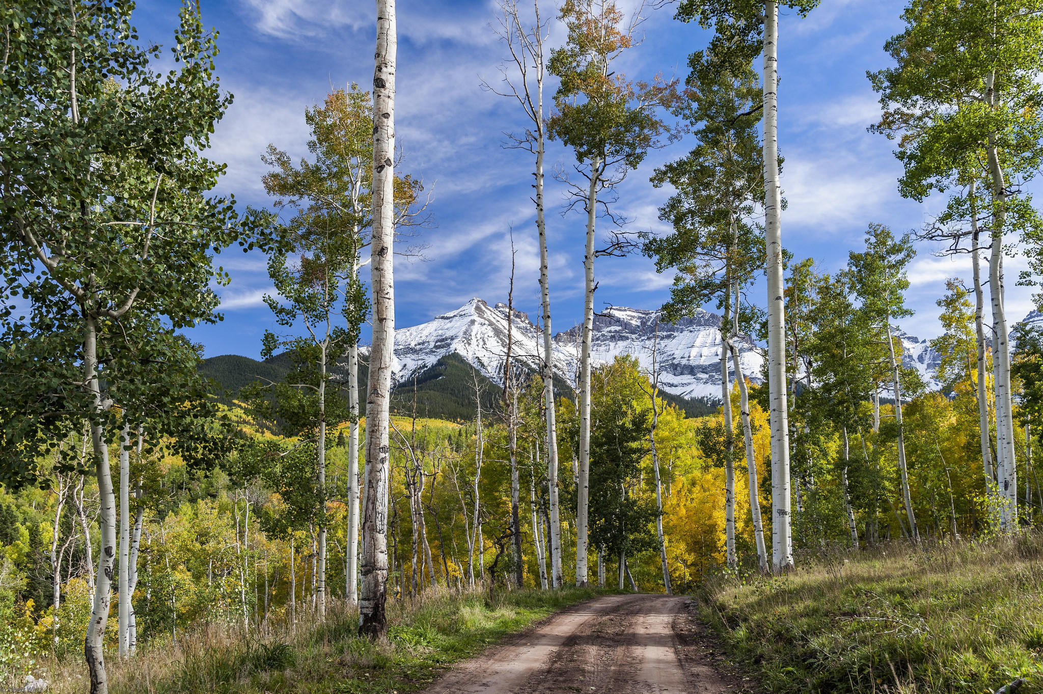 Wallpapers road in the forest village road landscape on the desktop