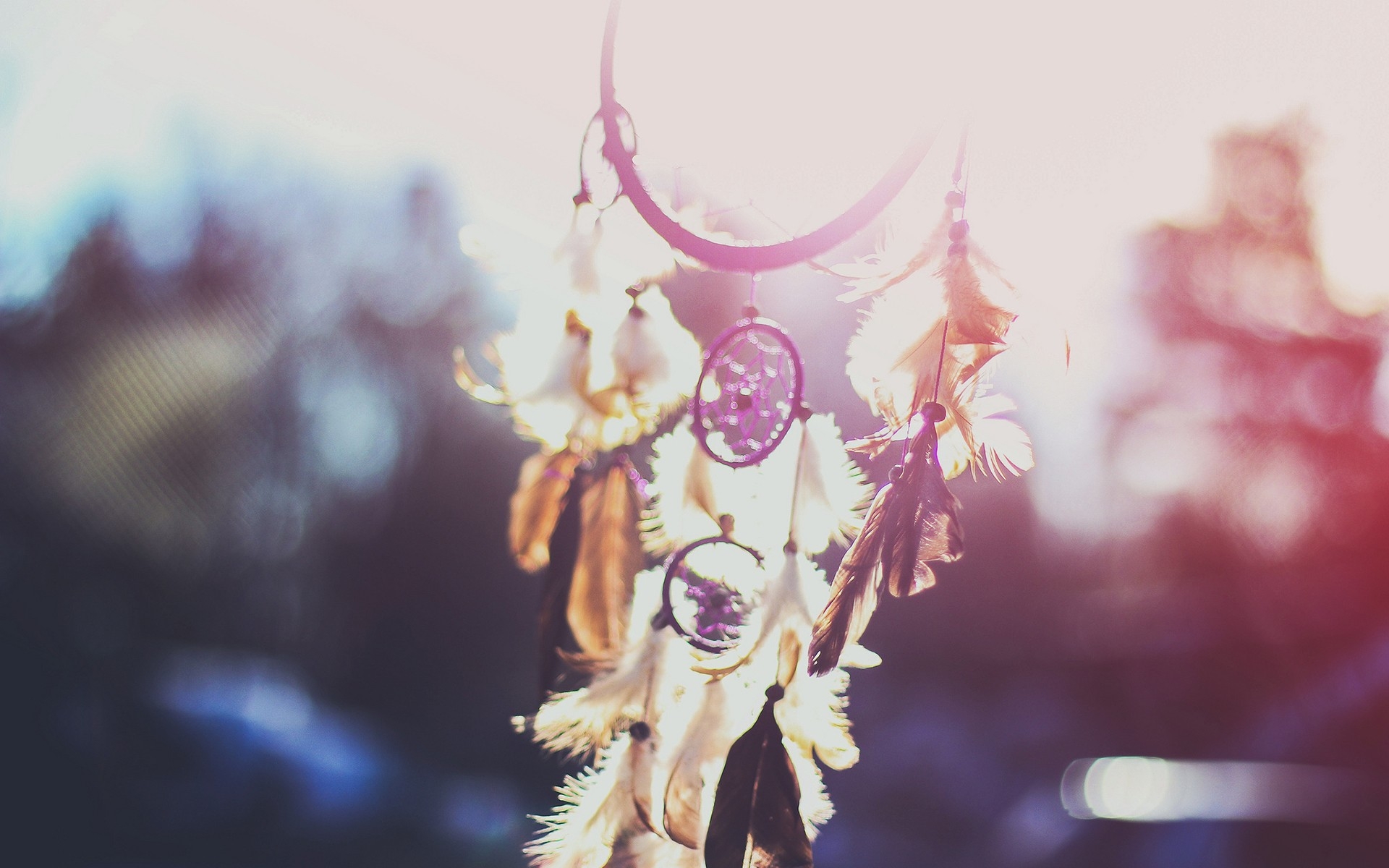 桌面上的壁纸动画 和风 春季