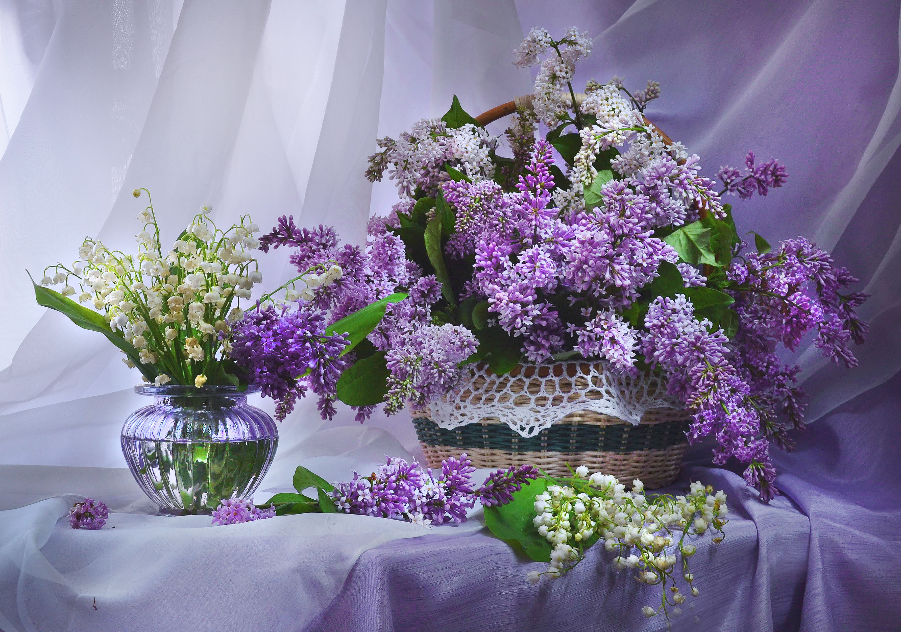 Wallpapers flora flowers still life on the desktop