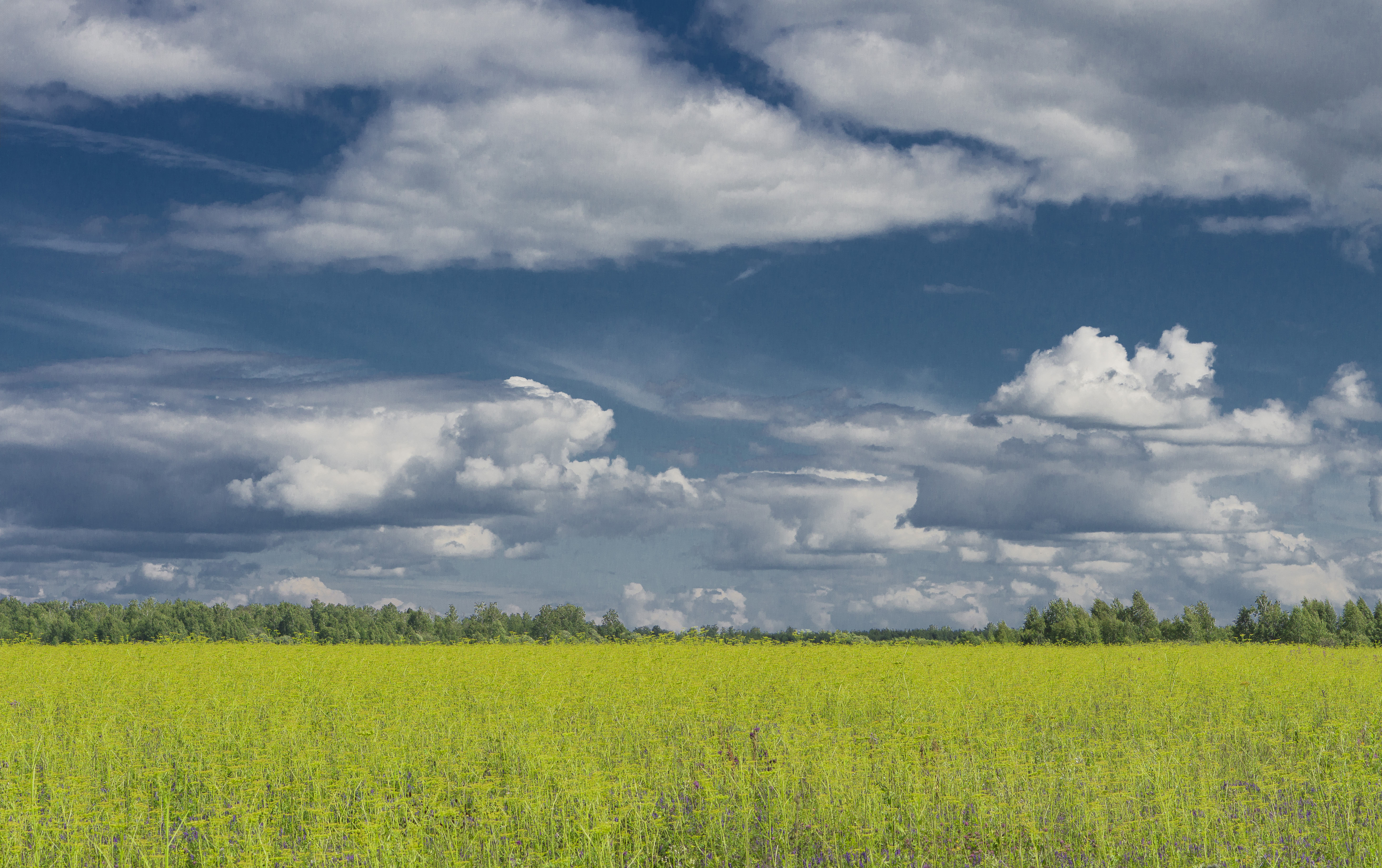The fields of Khakassia on a bright sunny summer day