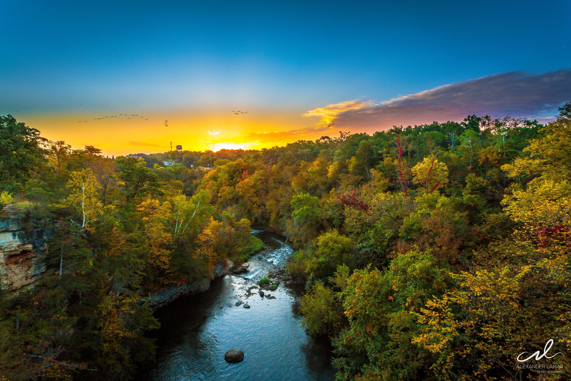 Wallpapers sun light trees landscape on the desktop