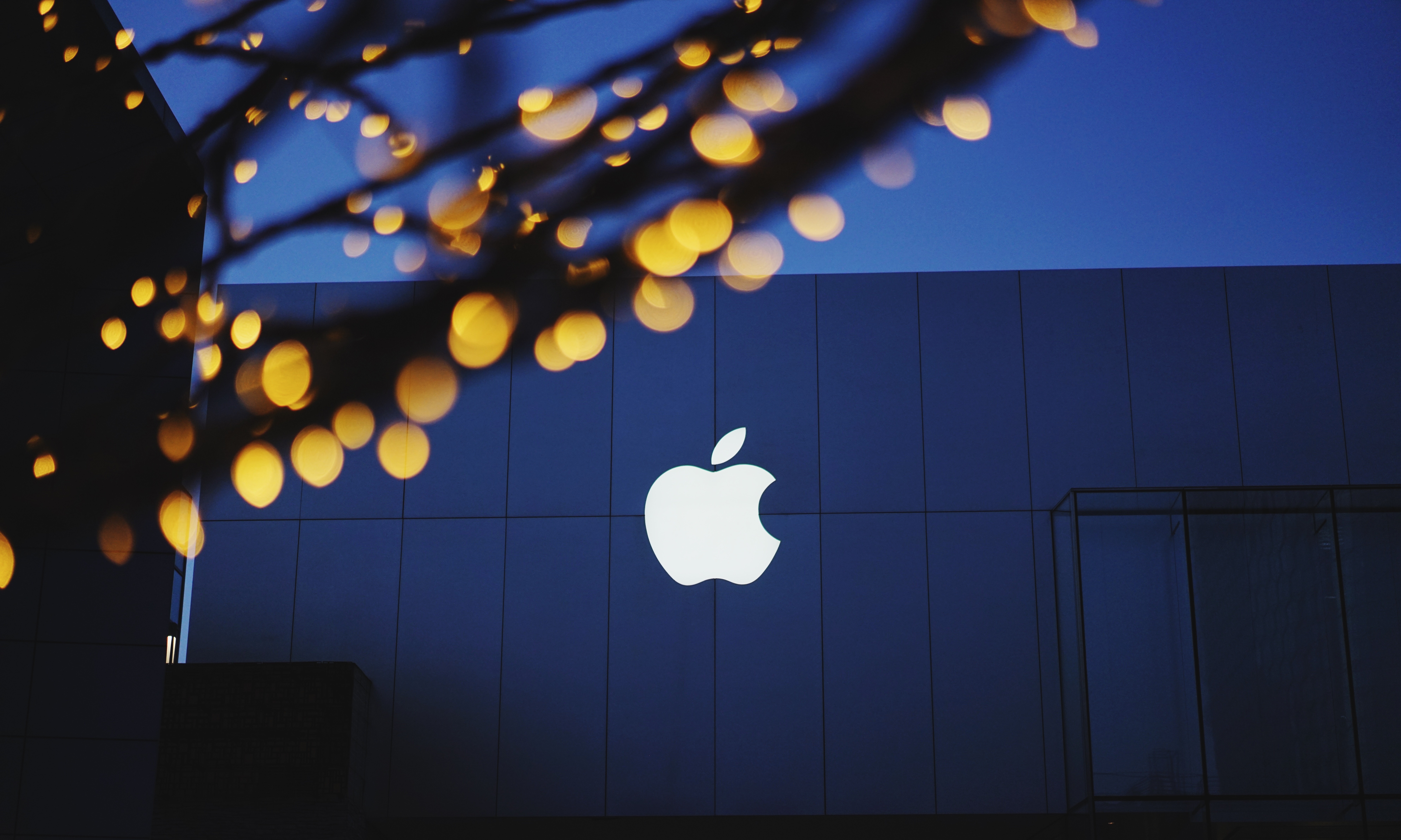 Wallpapers apple tree light on the desktop