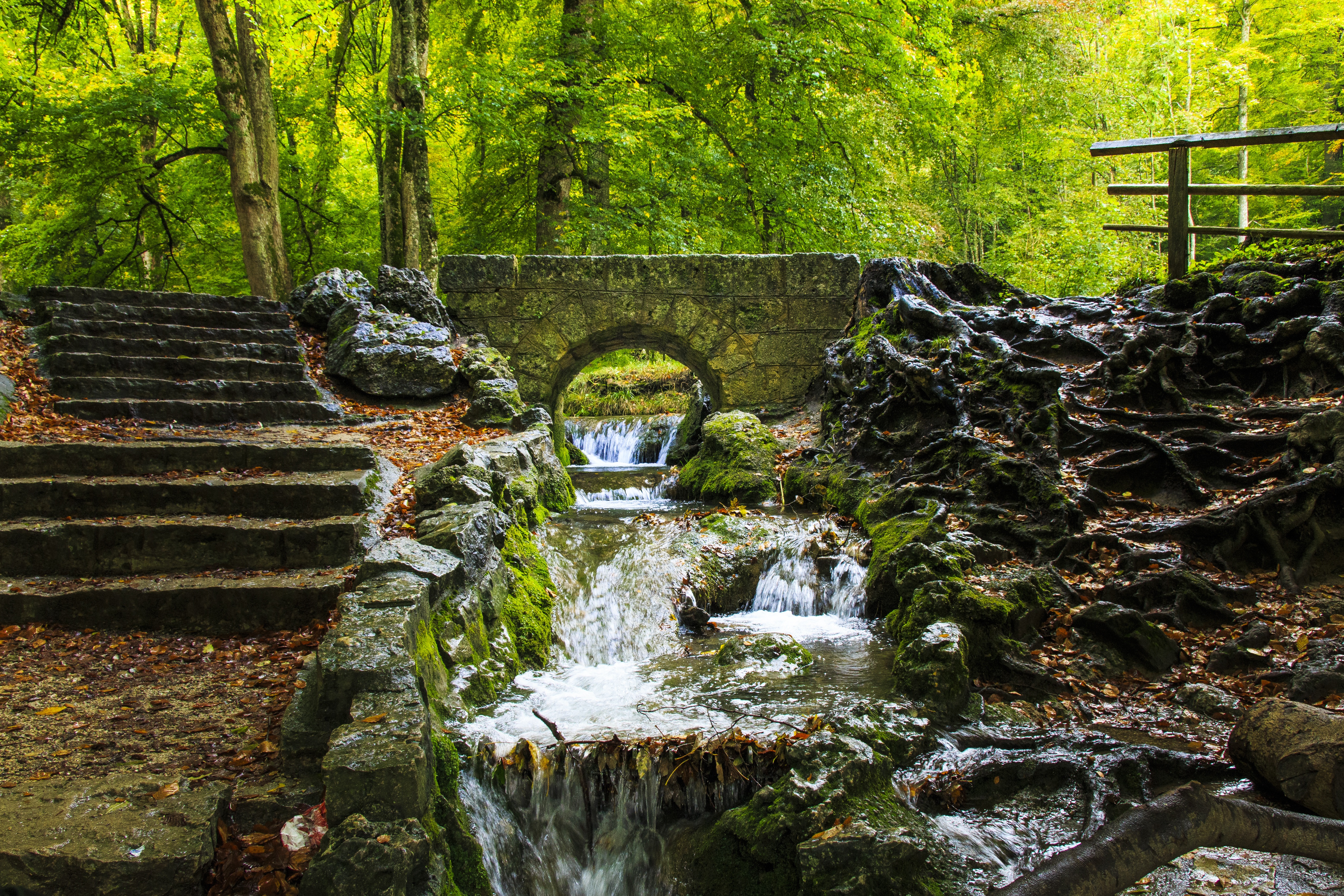 Free photo Arched bridge in the old Park