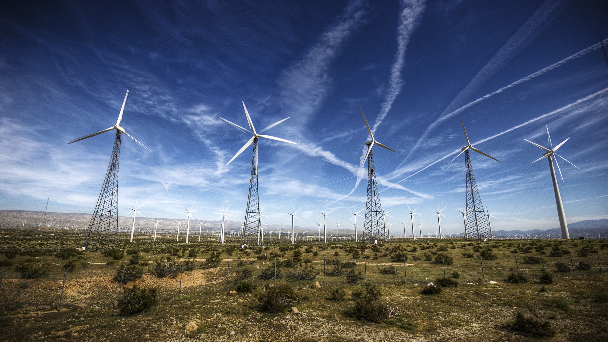 Wind farm in California