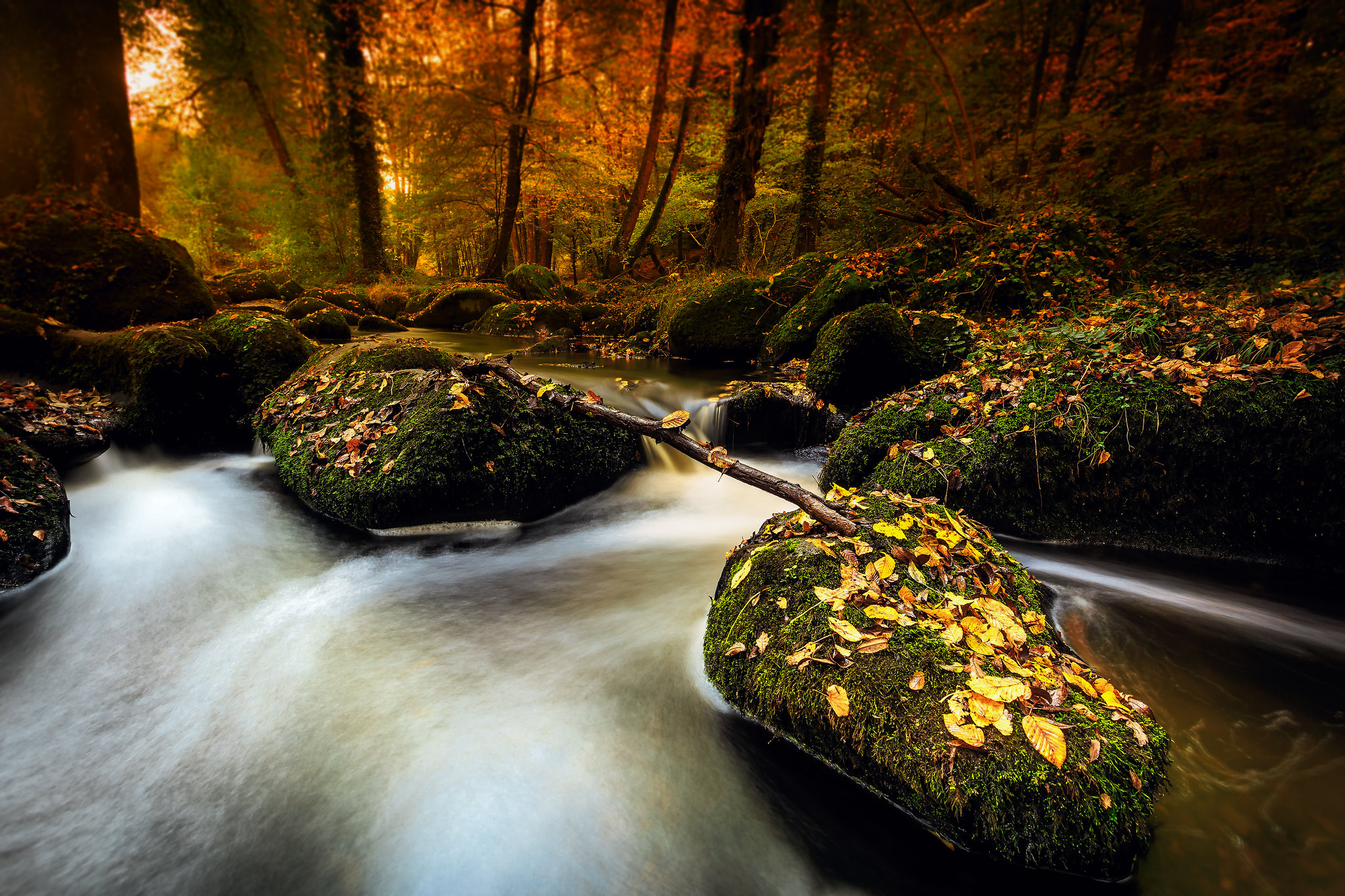 Wallpapers autumn leaves stones autumn on the desktop