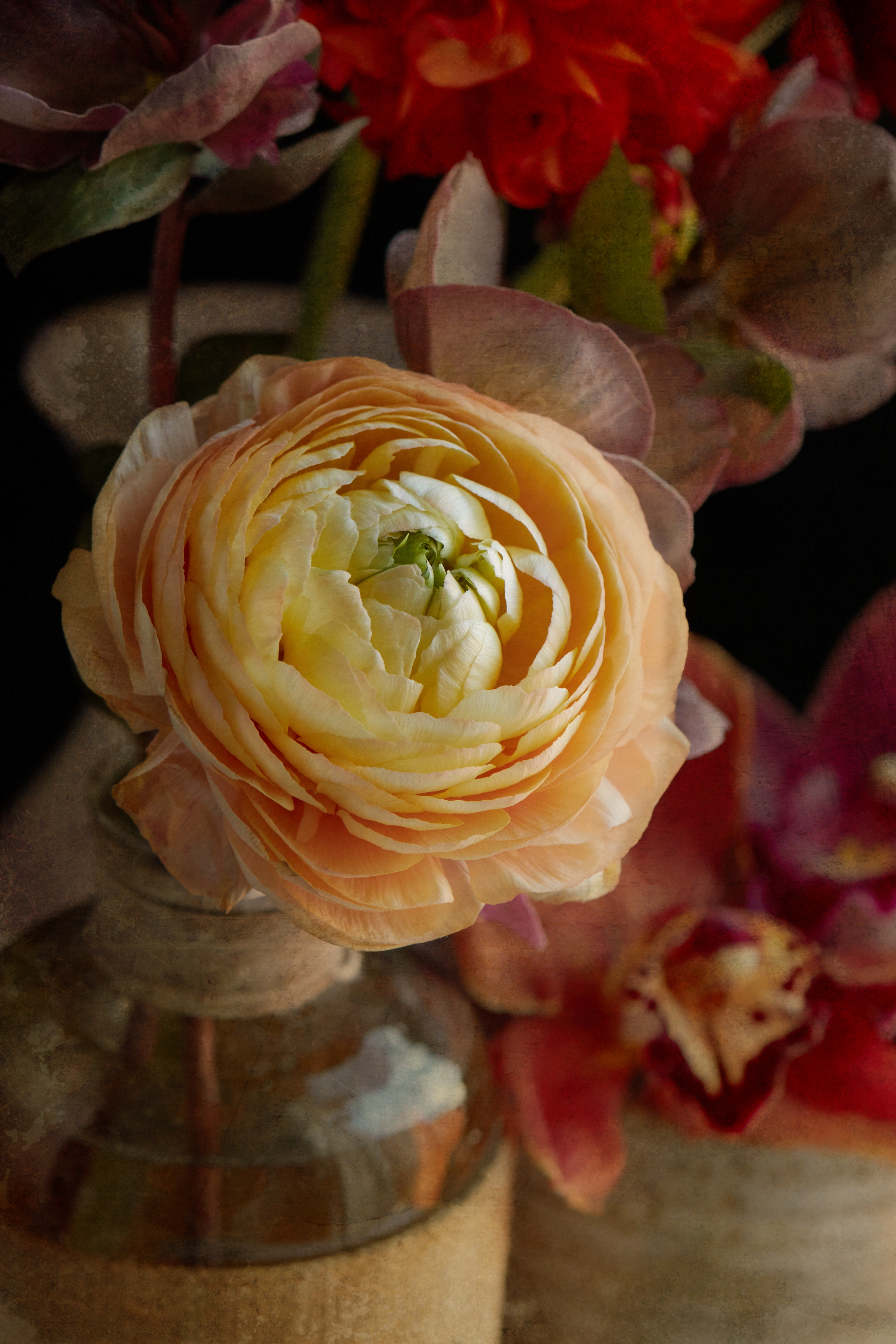 Wallpapers wallpaper yellow rose petals macro on the desktop