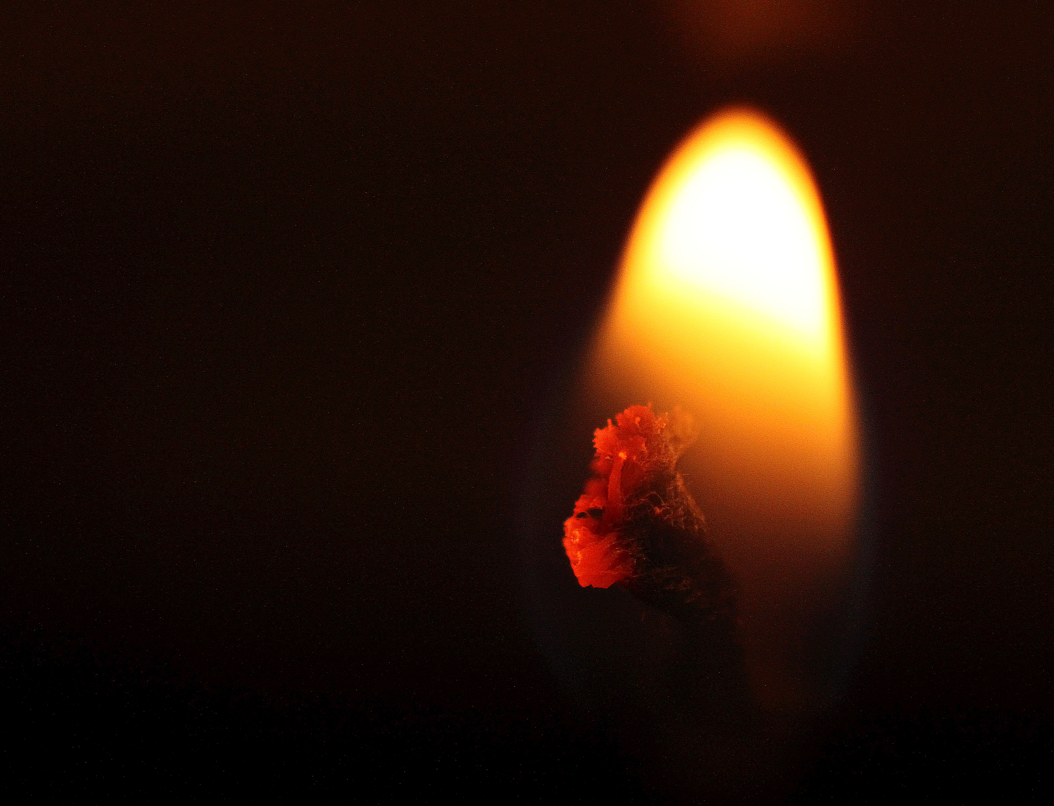 桌面上的壁纸日光 晚上 空间