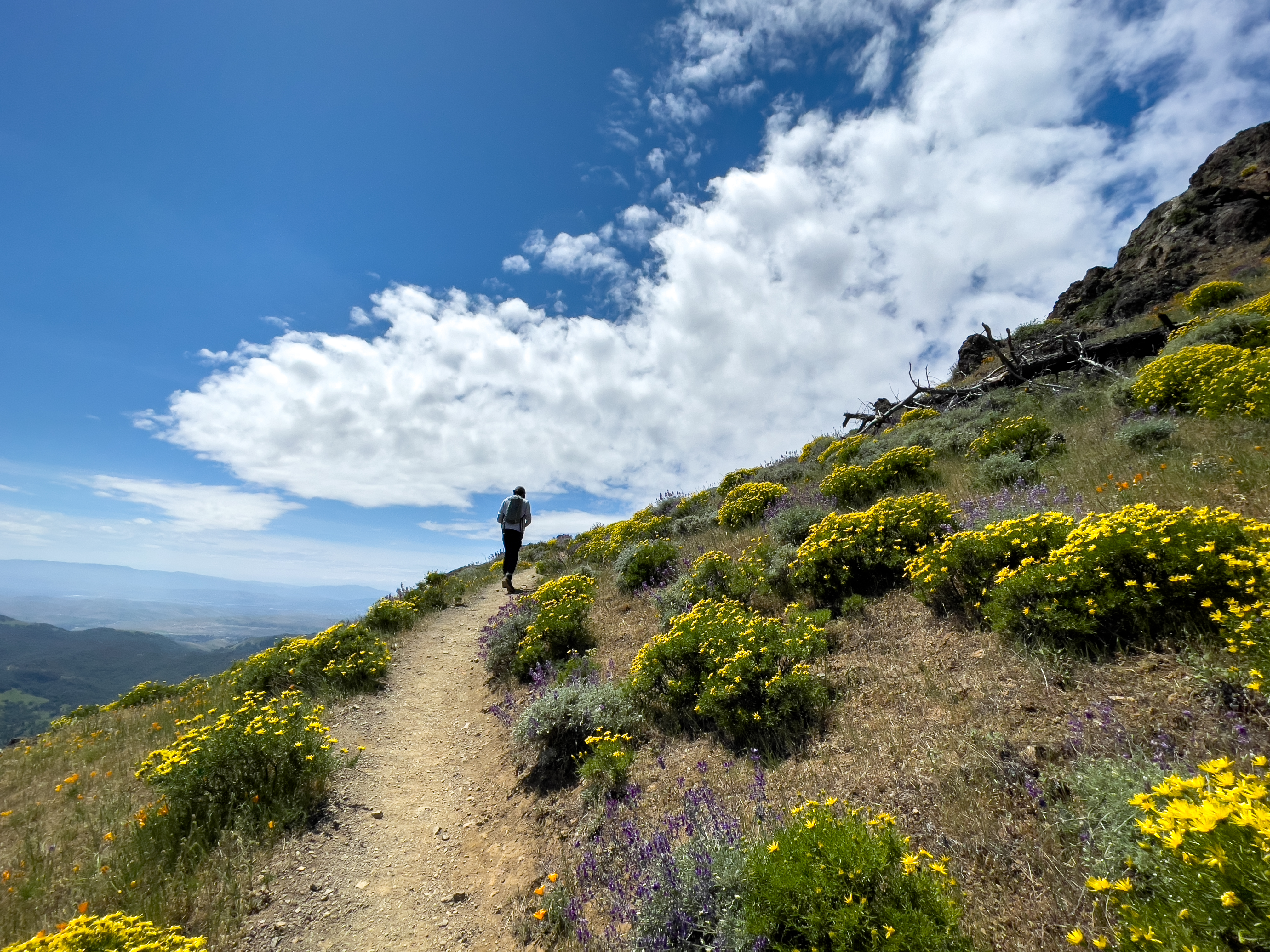 Free photo A man walks along a path leading to the top of a mountain