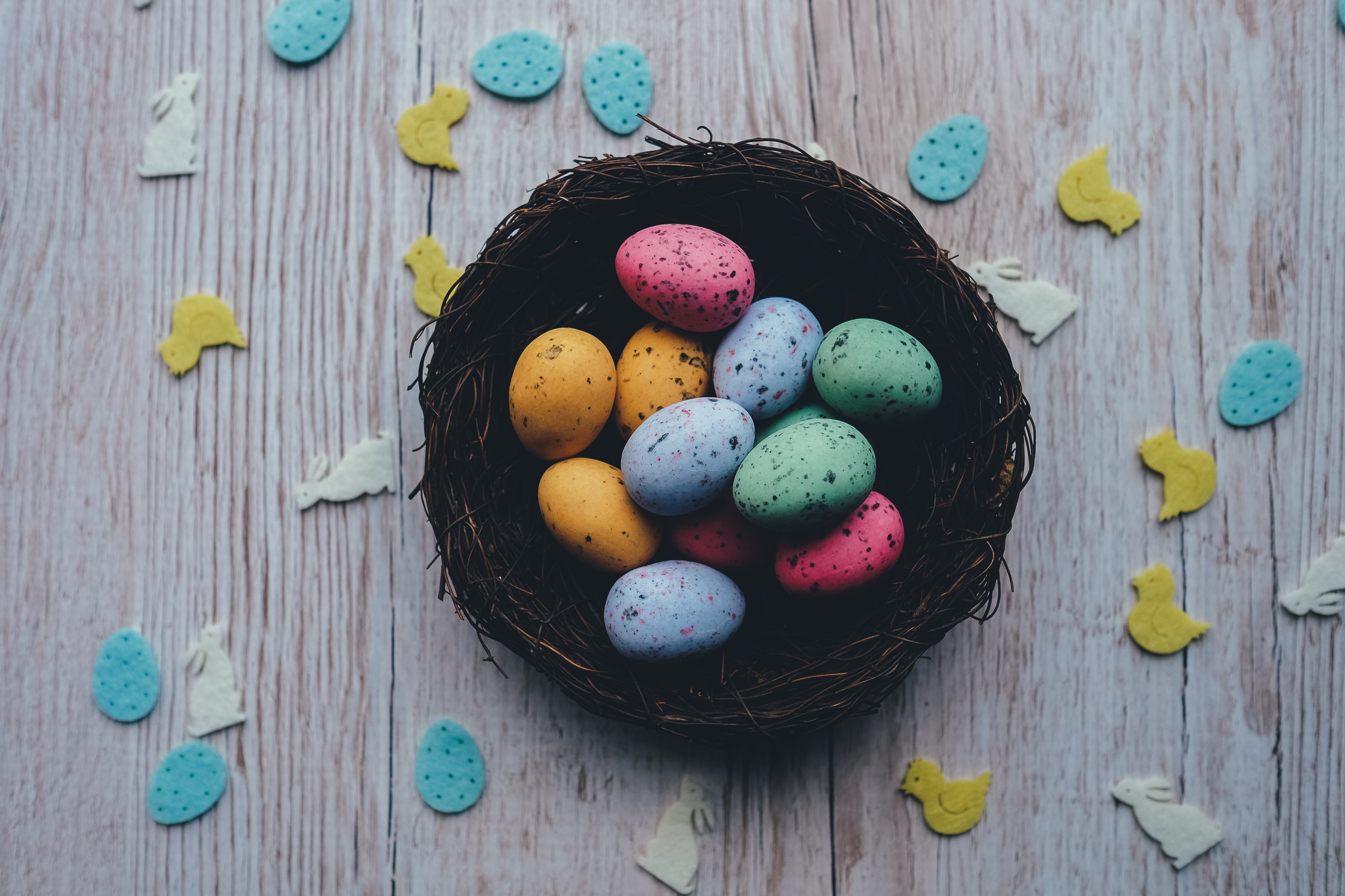 Бесплатное фото Цветные перепелиные яйца