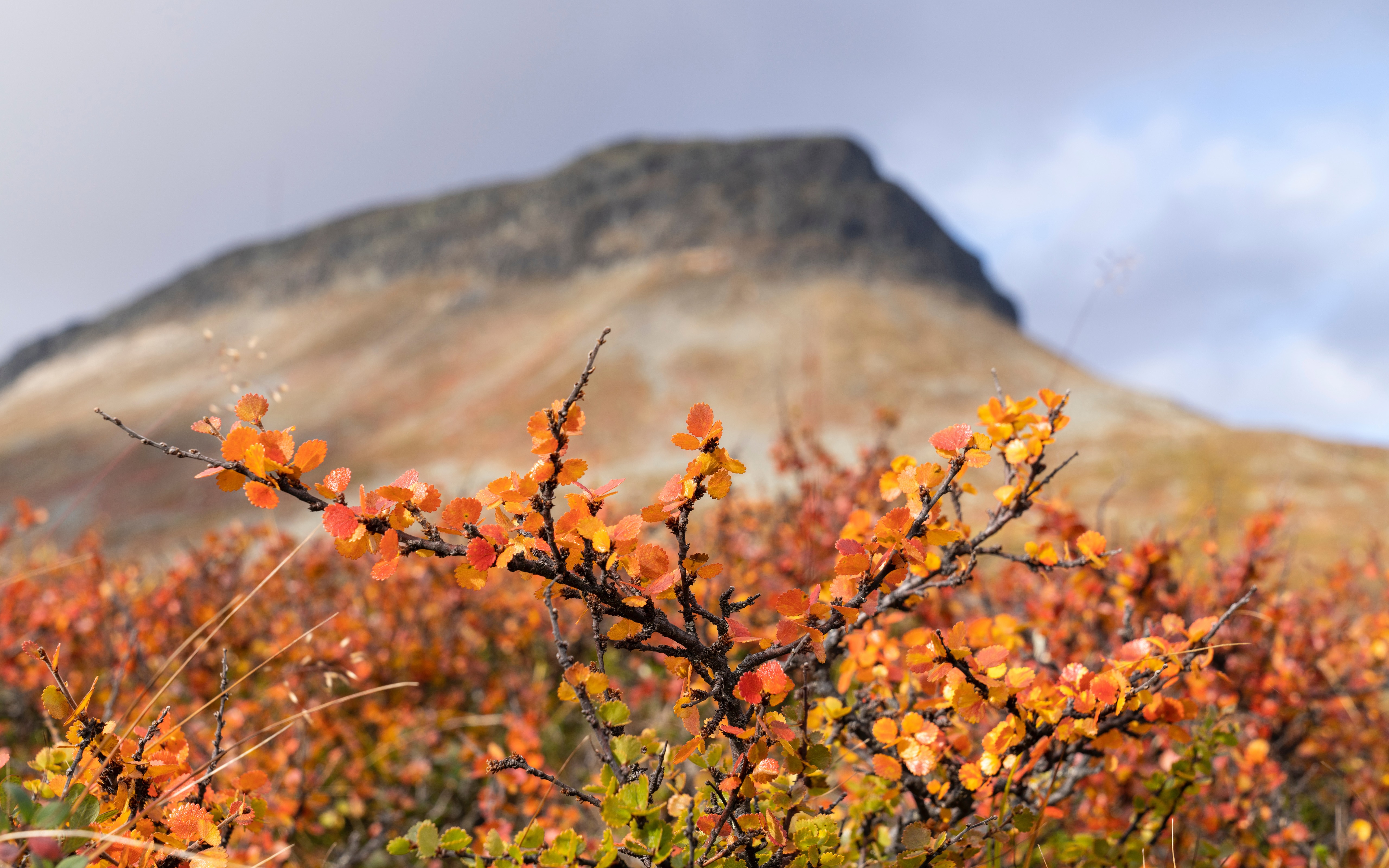 Free photo Autumn Nature in Finland