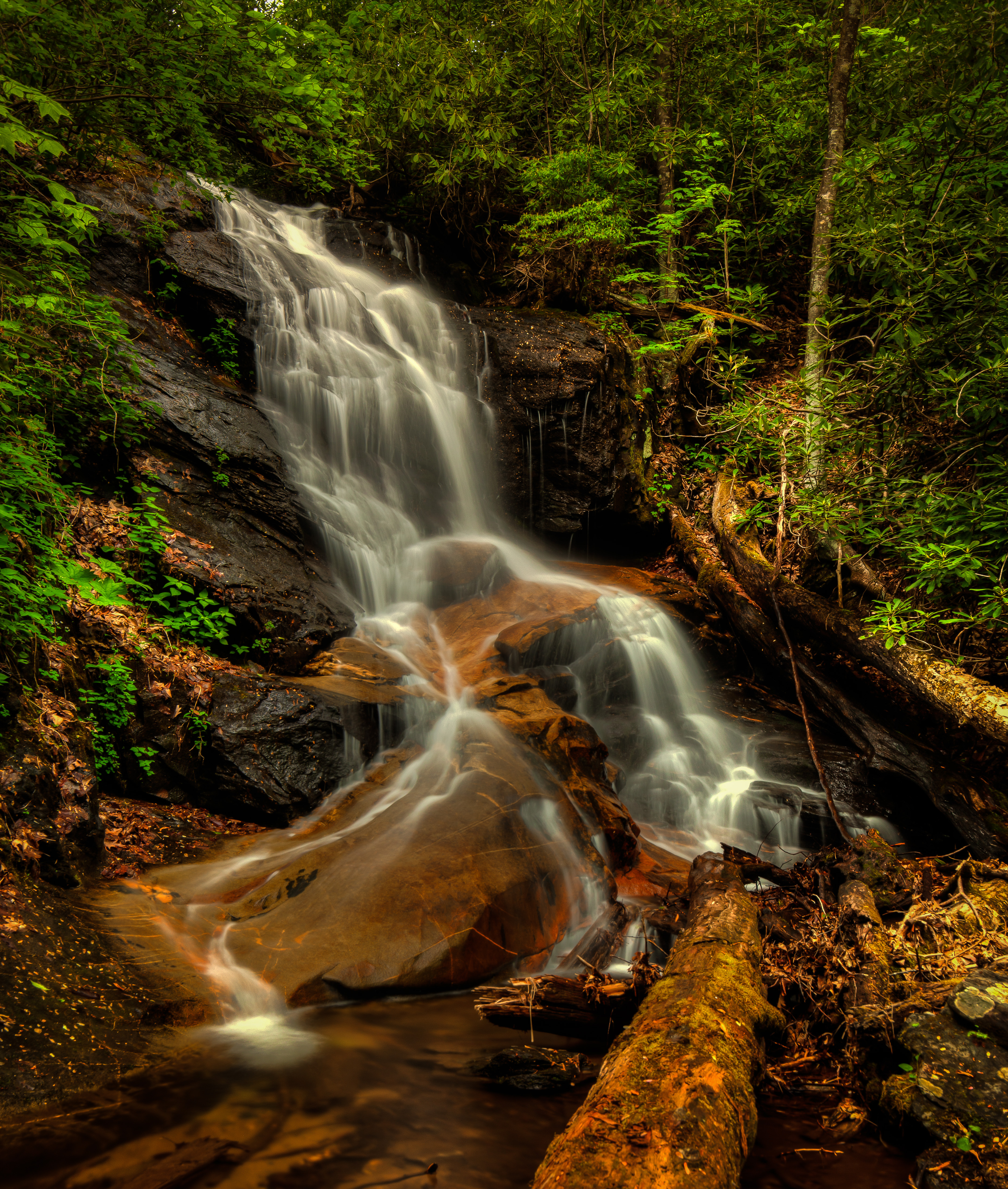 Обои Log Hollow Branch Falls Pisgah National Forest North Carolina на рабочий стол