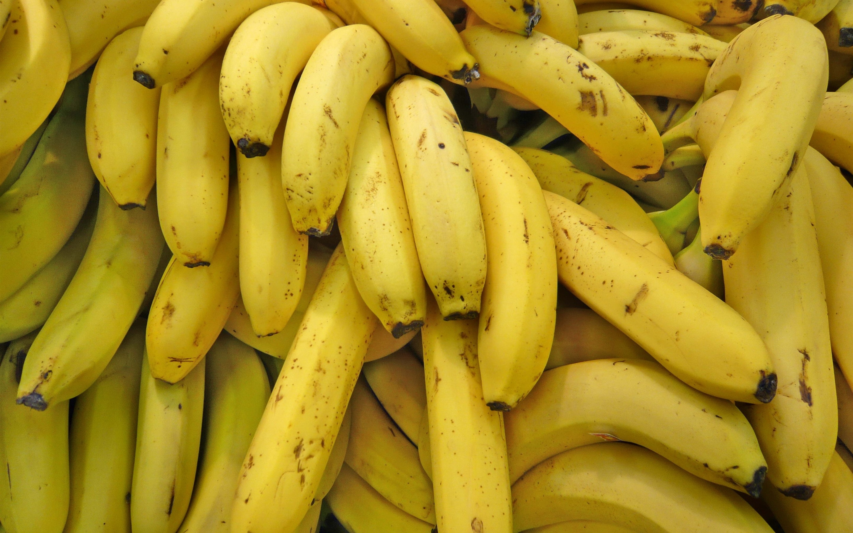 Бесплатное фото Спелые желтые бананы