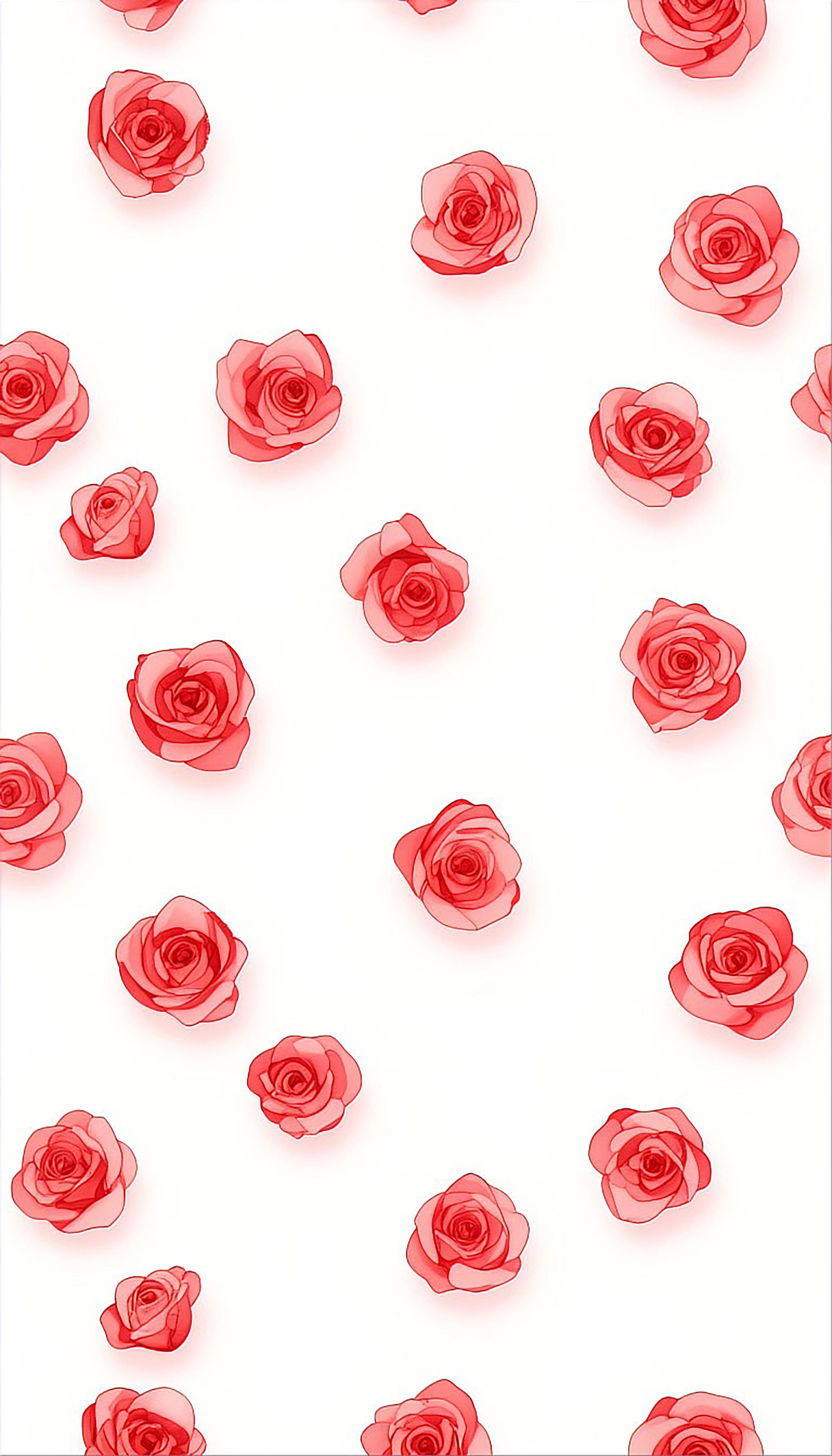 Free photo Cute roses on a white background