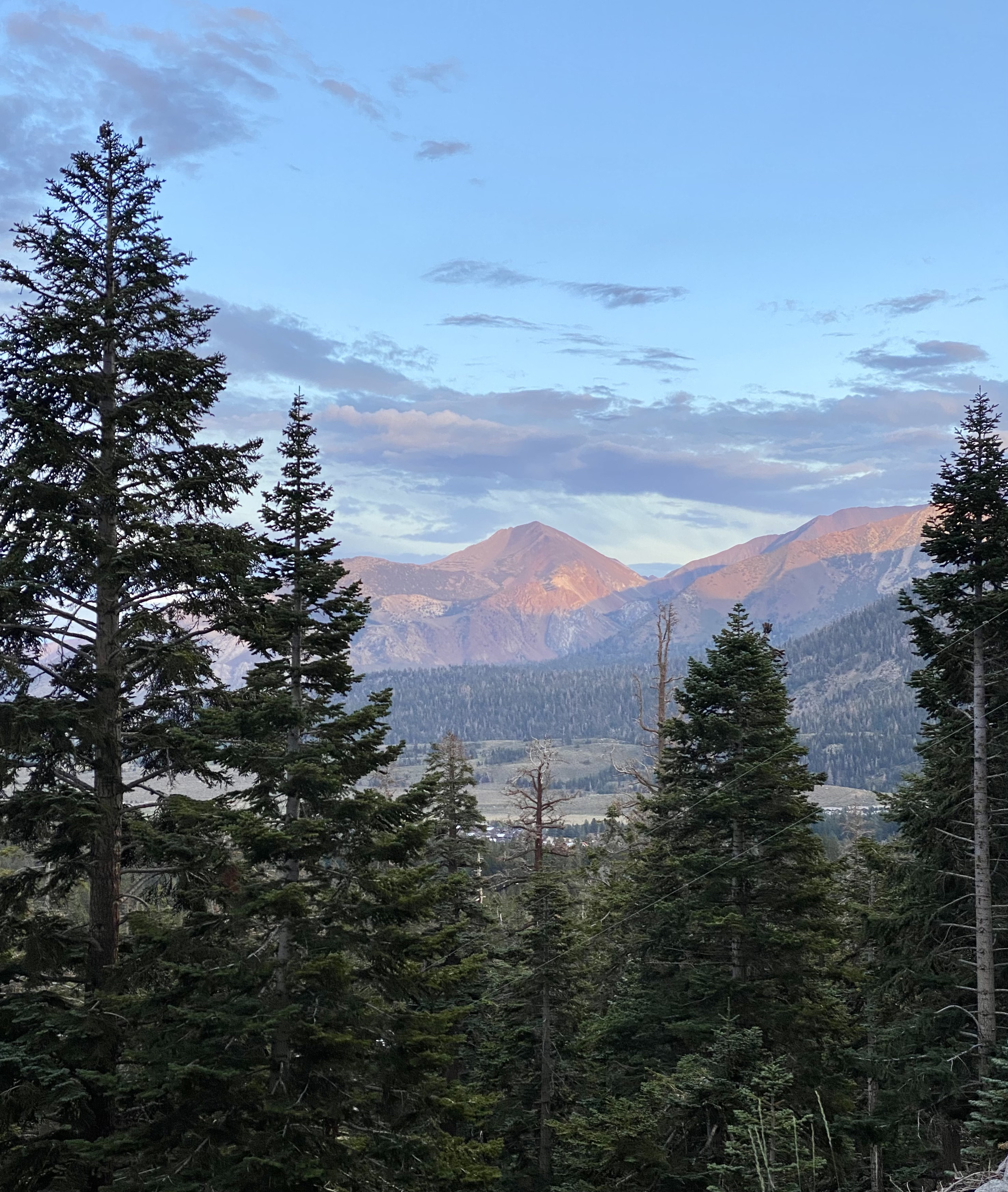 免费照片透过树枝，你可以看到山。