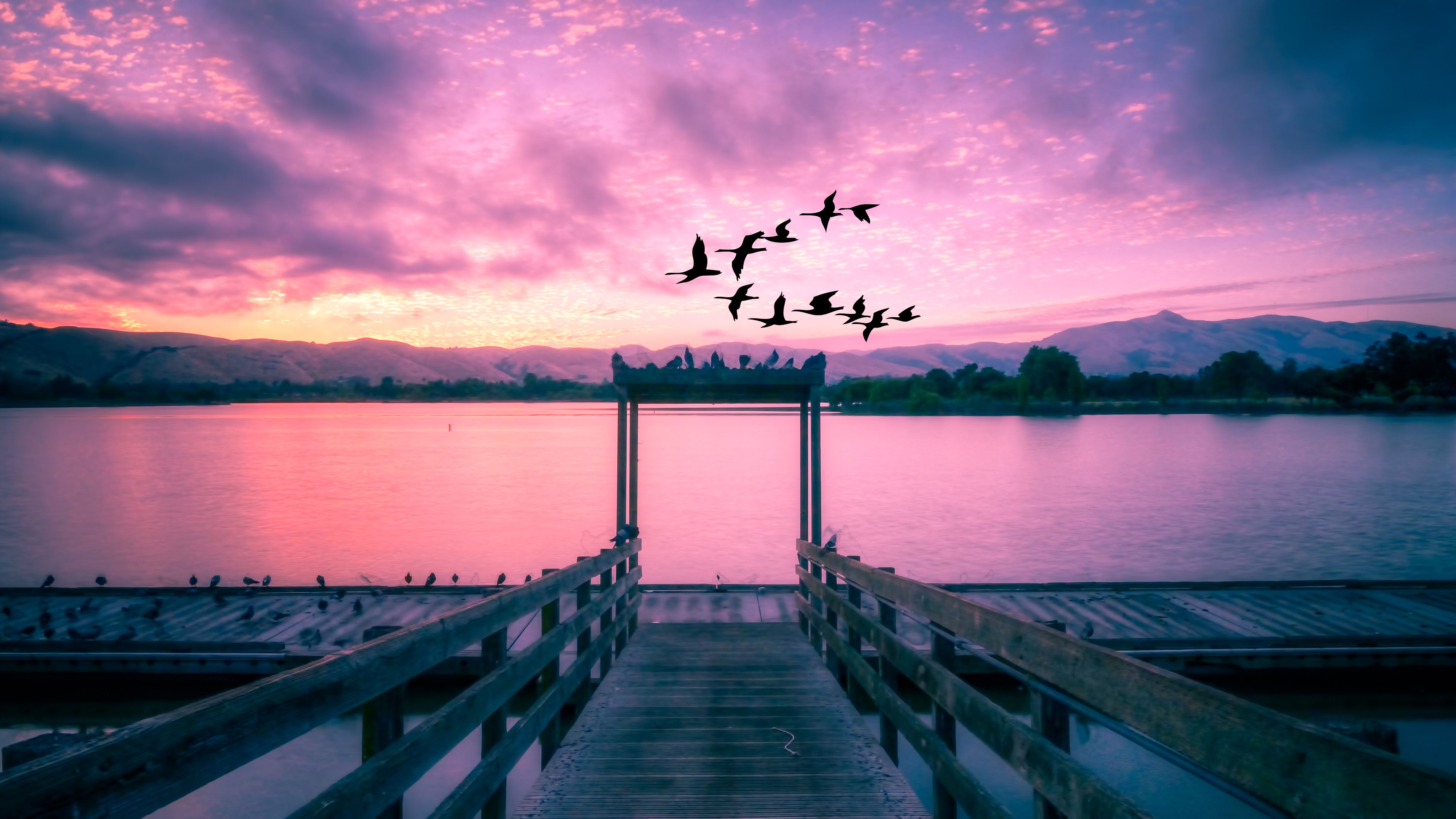 免费照片码头上精致的粉色夕阳
