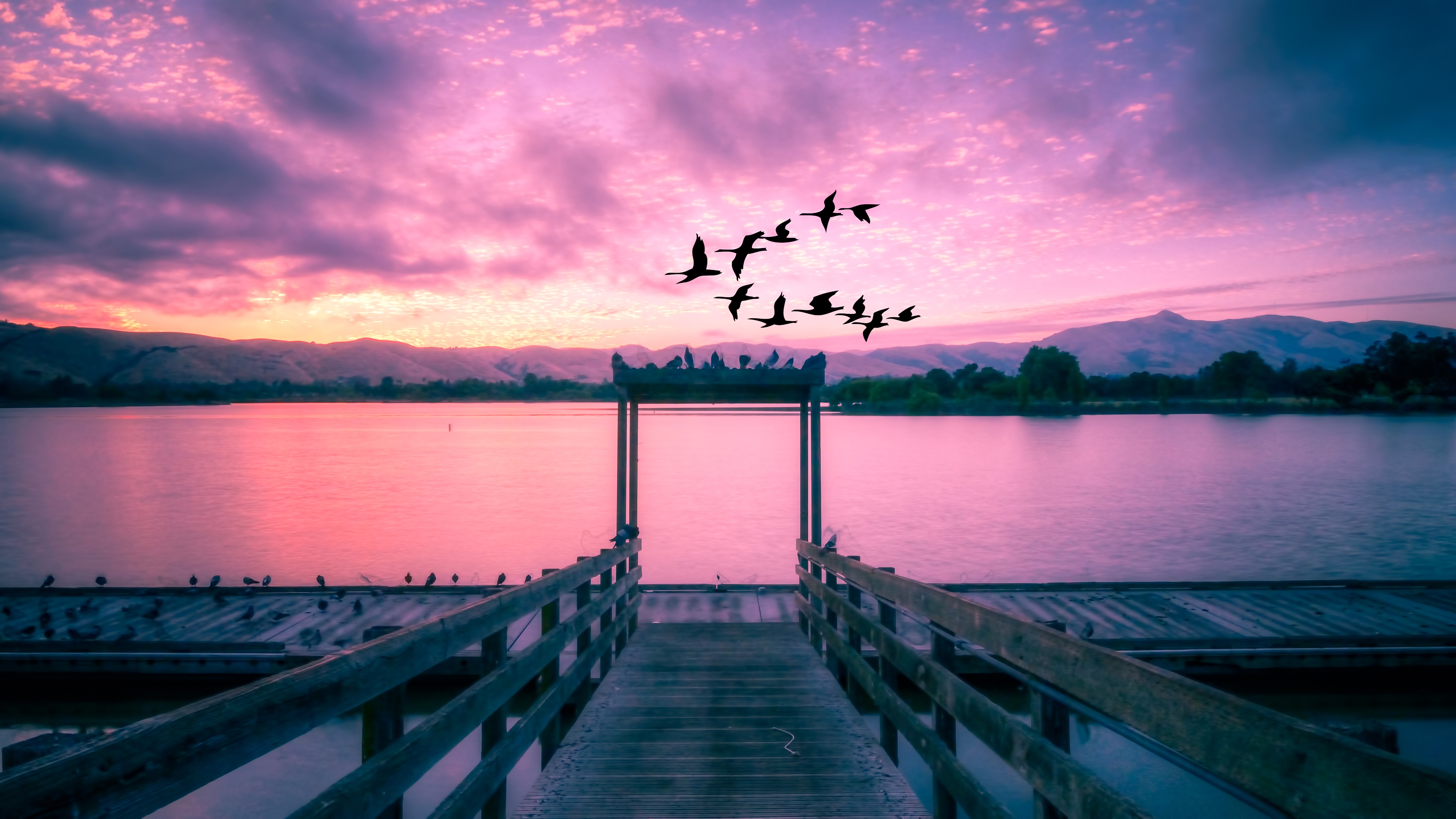 Free photo A delicate pink sunset on the pier