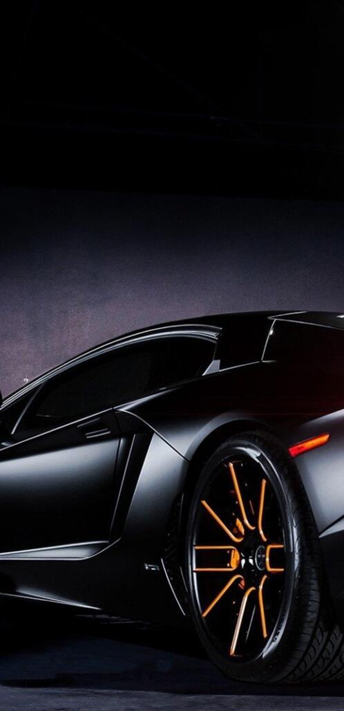 Бесплатное фото Черная ламба вид сзади