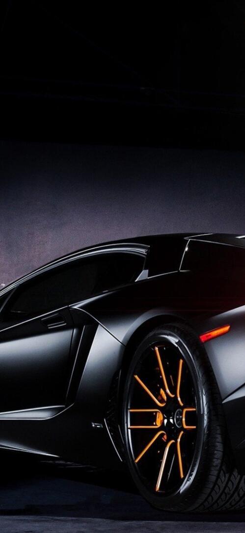 Бесплатное фото Черная ламба вид сзади