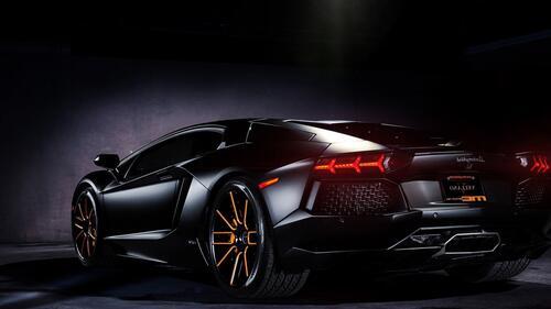 Бесплатное фото Черная ламба вид сзади