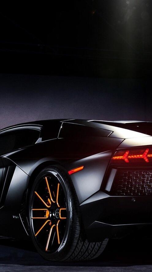 Бесплатное фото Черная ламба вид сзади