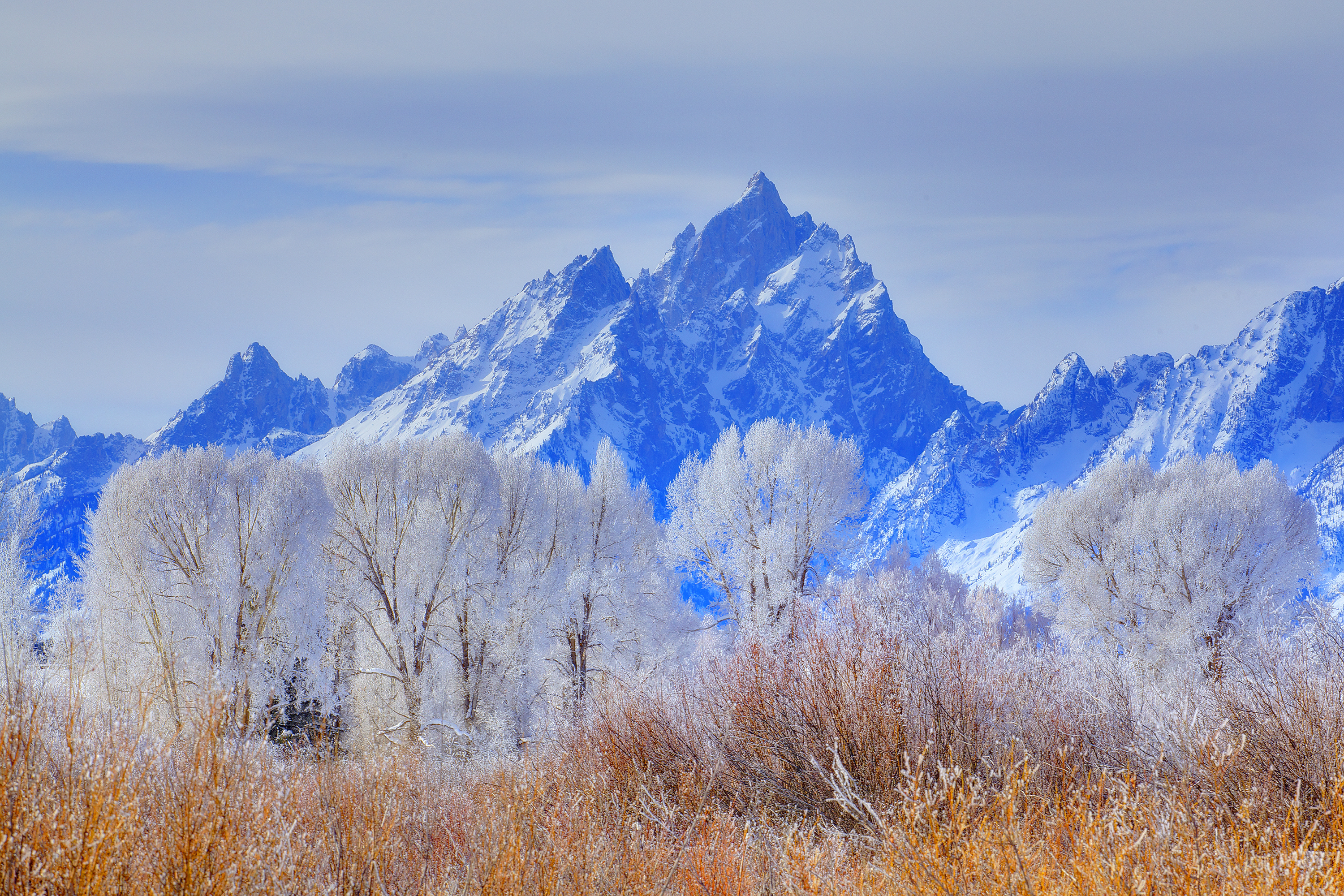Winter landscape of the Teton range