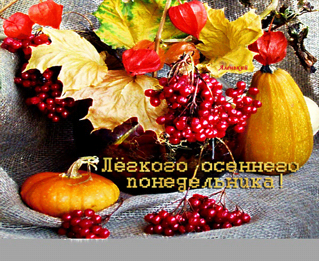 免费明信片秋画、明信片