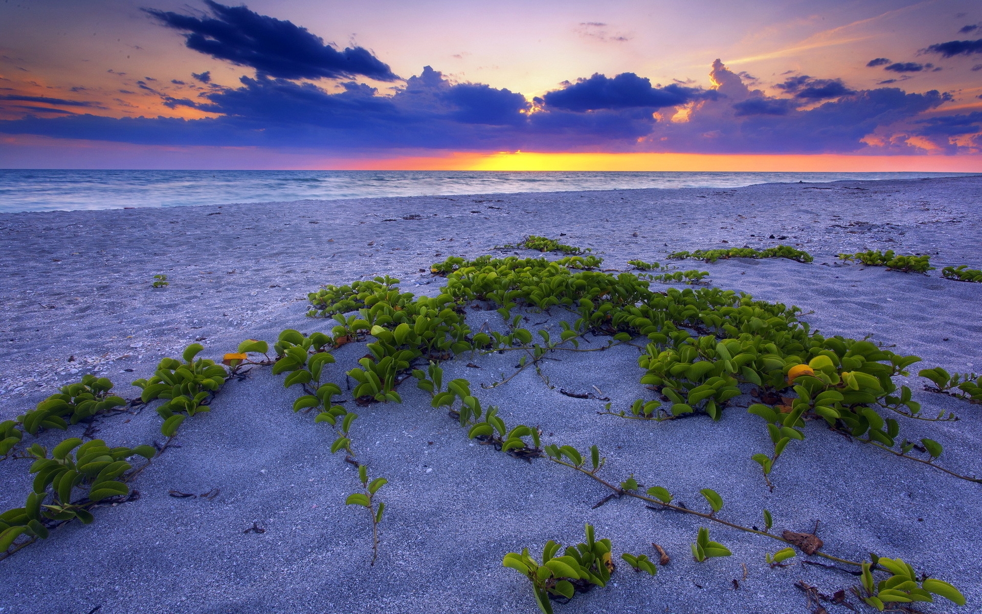 Free photo Evening beach